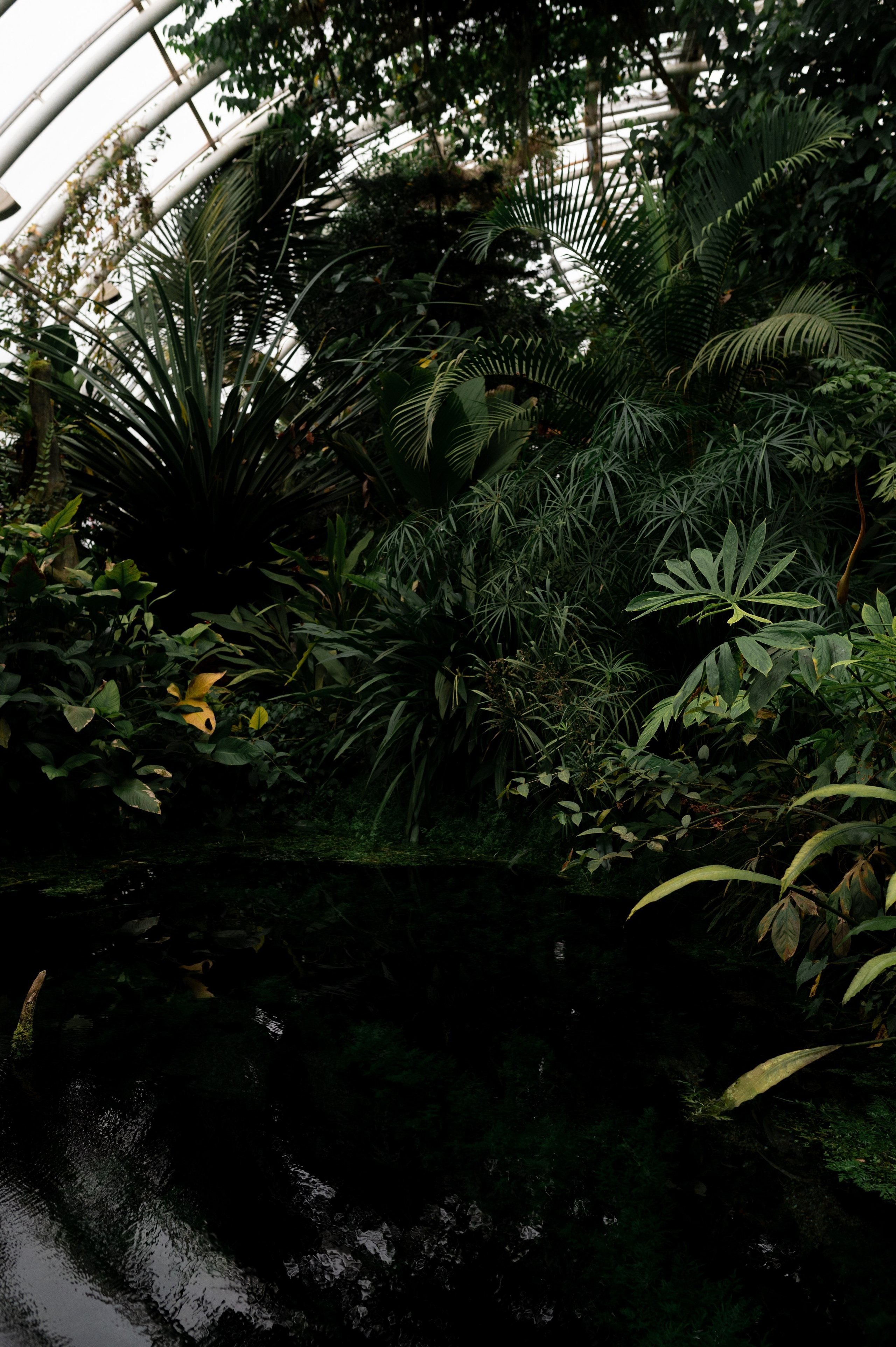 CannaXlife CBD products. ANNA-MARIA PHOTO CONTENT CREATOR — фотограф, эстет, художник и визуальный эксперт в Instagram, работающий в Праге