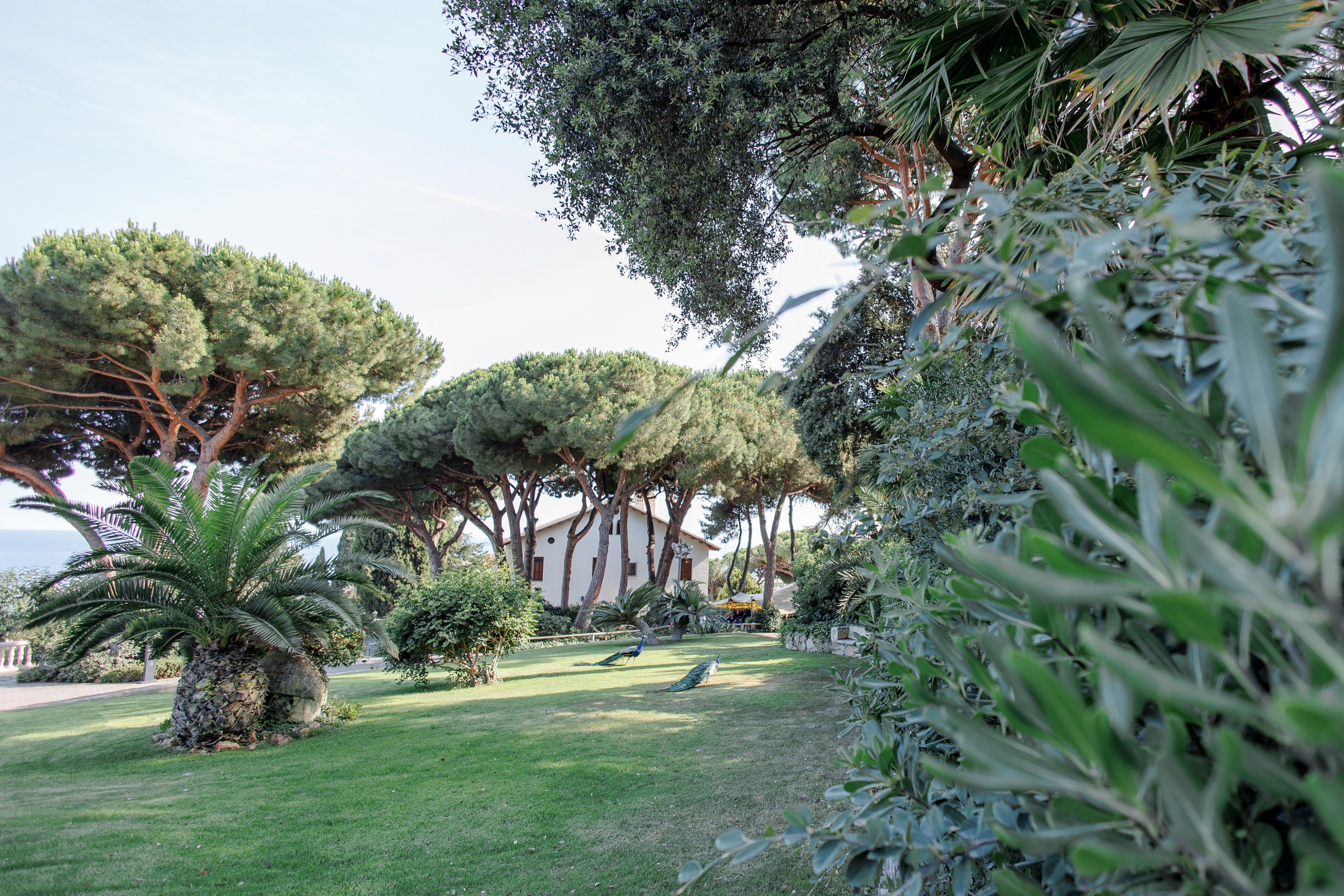 Wedding at Can Marial. Wedding Photographer in Barcelona Lana Alekhina