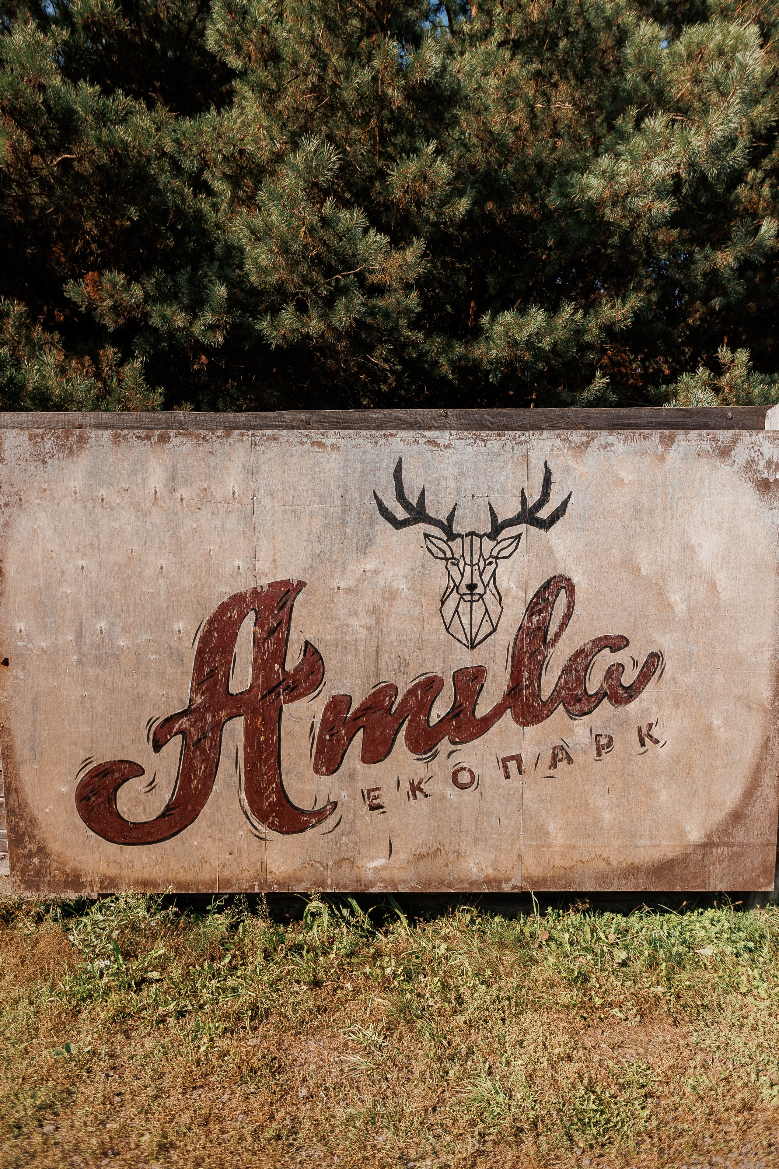 Екопарк Аміла. Ірина Терещук