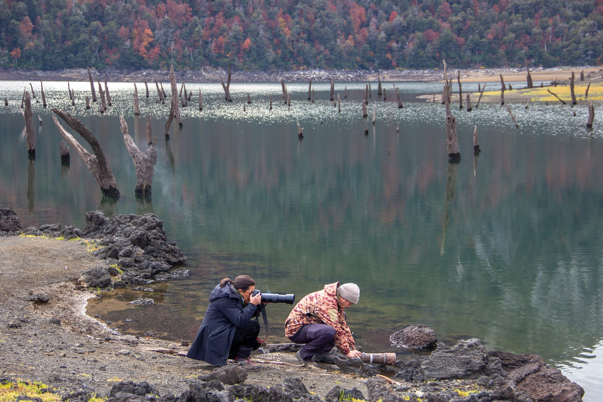 Otoño 2026 en la Araucanía. Fotógrafo de naturaleza en Chile Cristian Larrere Worner