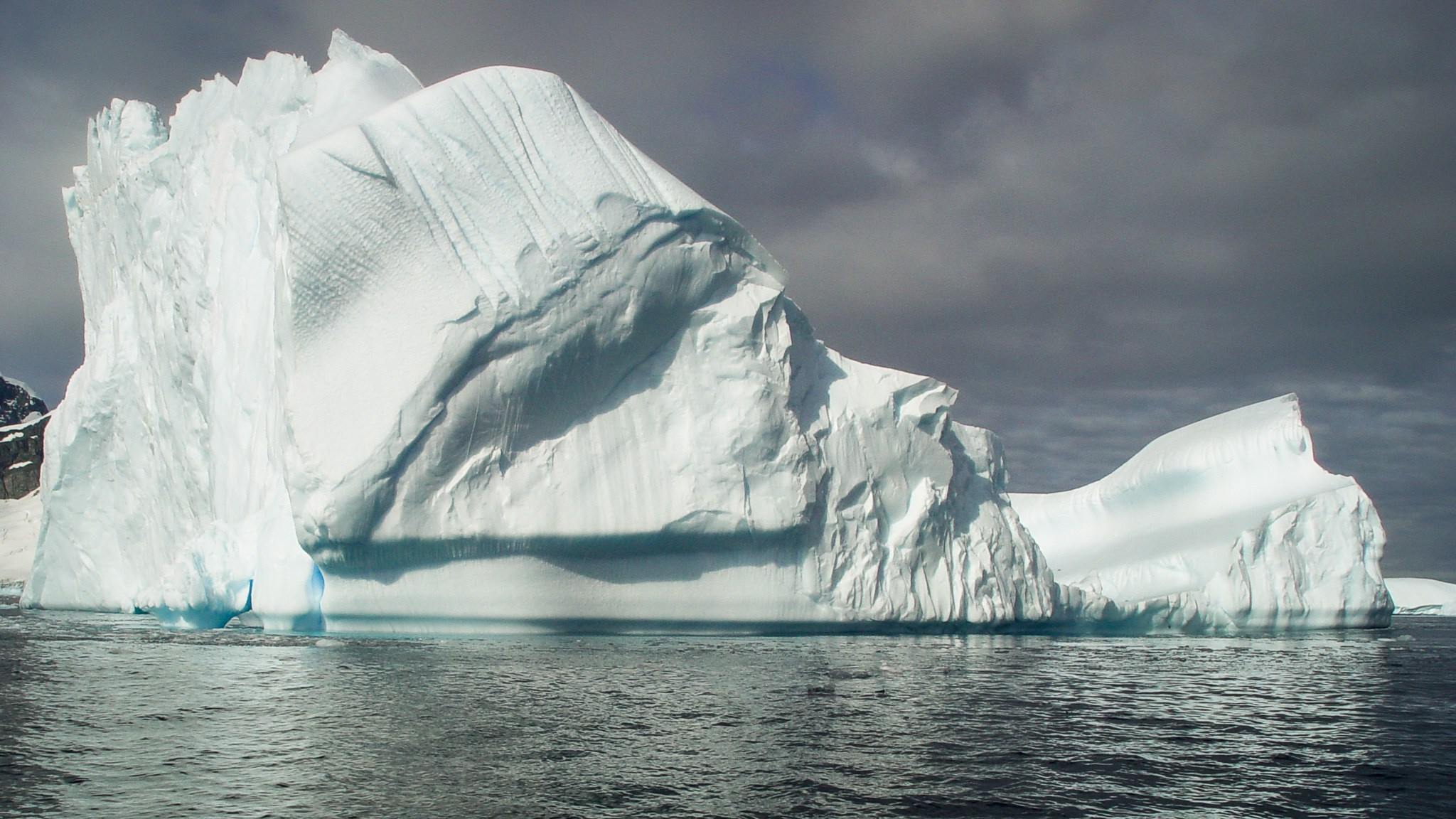 ANTARCTICA / 2004. Reportage concert portrait photography in the San Francisco Bay Area