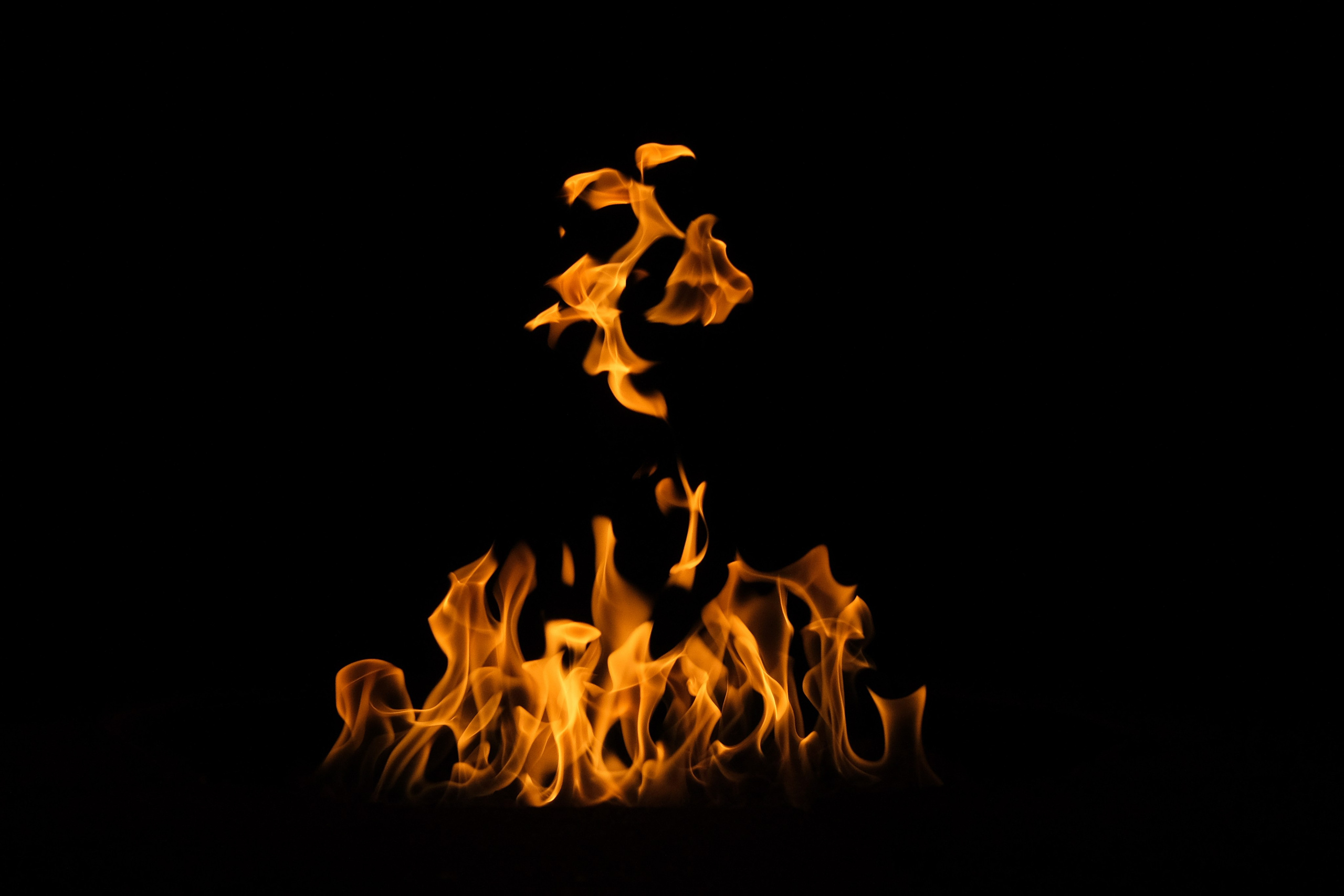 VATRA. Reportage concert portrait photography in the San Francisco Bay Area