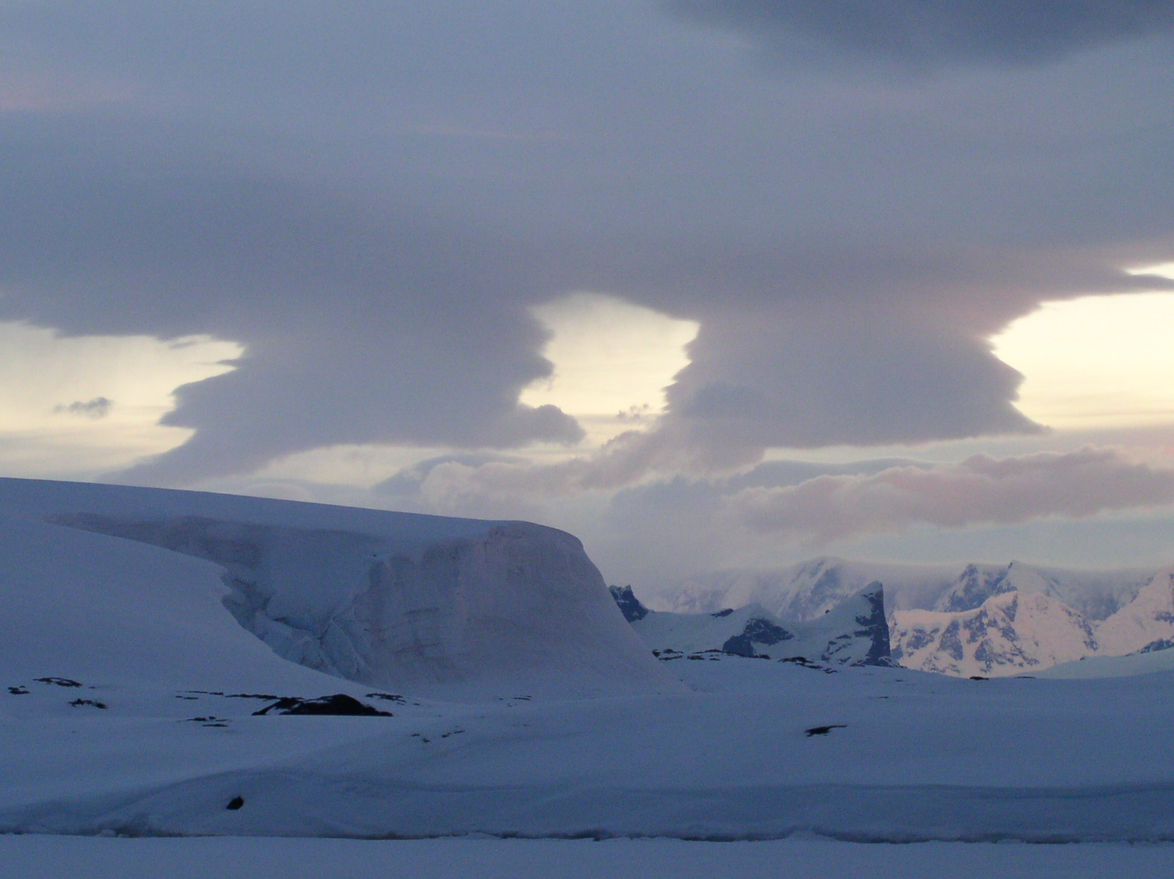ANTARCTICA. Reportage concert portrait photography in the San Francisco Bay Area