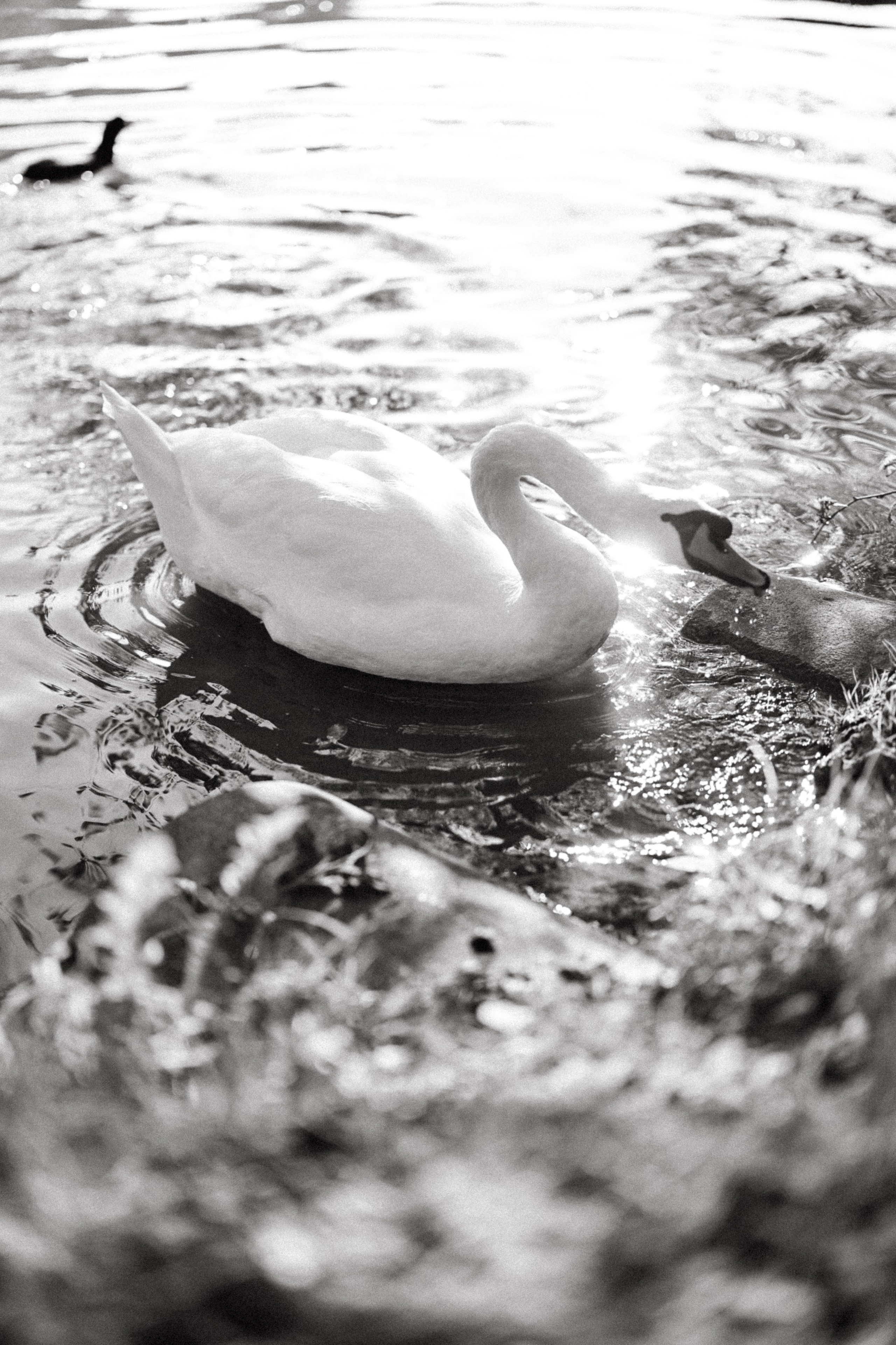 Children’s photoshoot. Family photographer in Bern, Switzerland