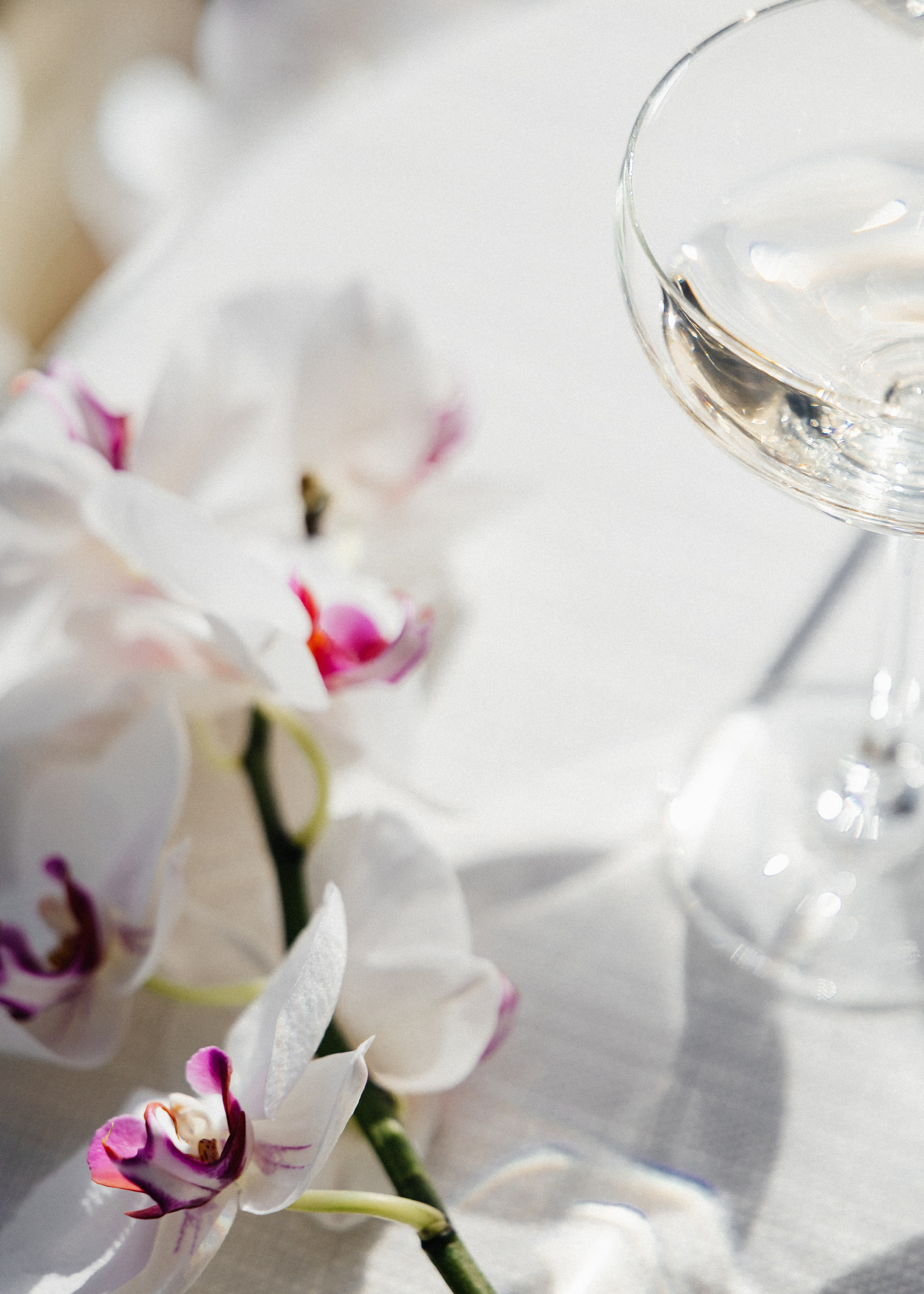 Historic Arley Hall editorial wedding — coming soon........ Timeless Wedding & Event Photography from London to the world