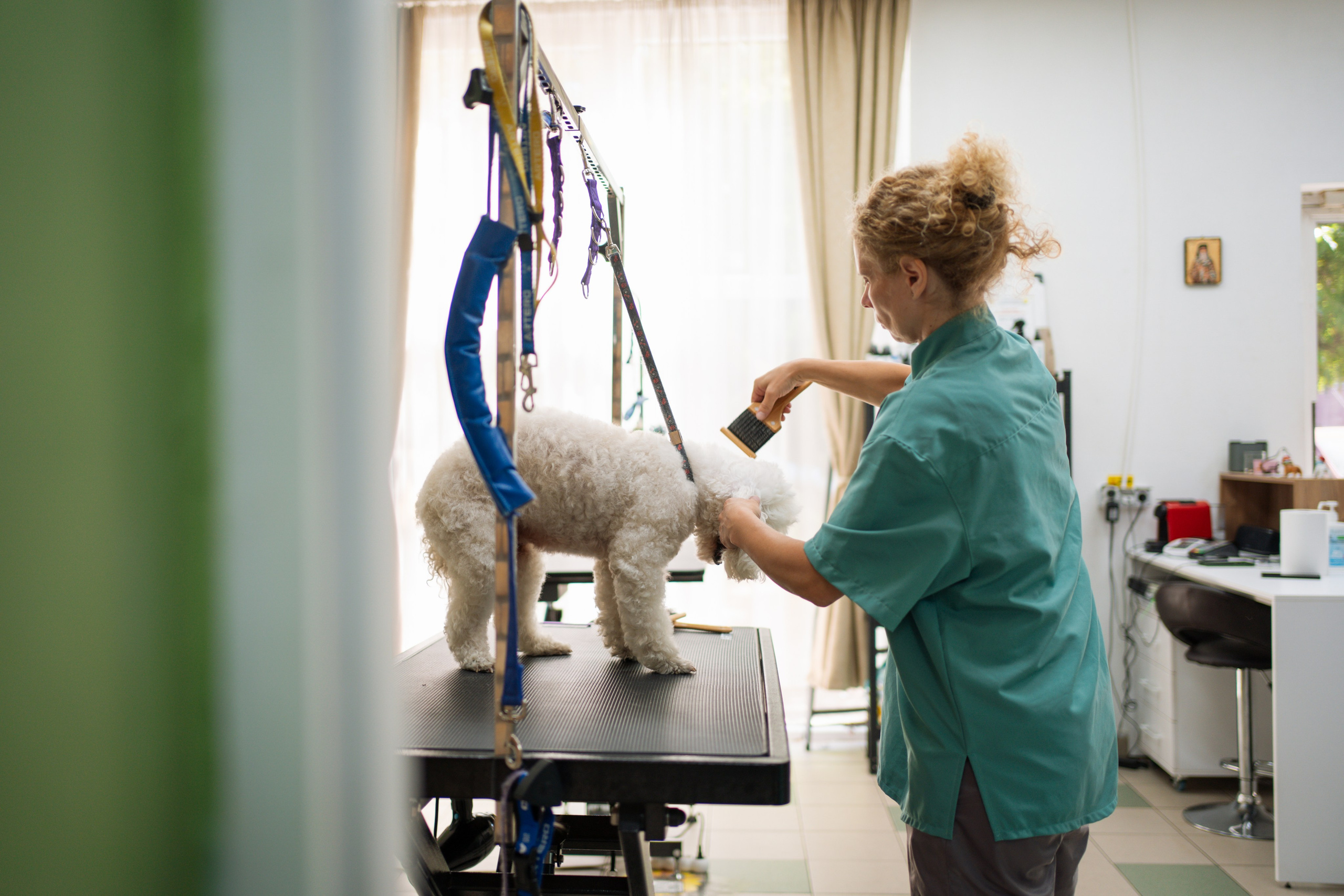PetGroom Timisoara. Cozac Cristian Photographer