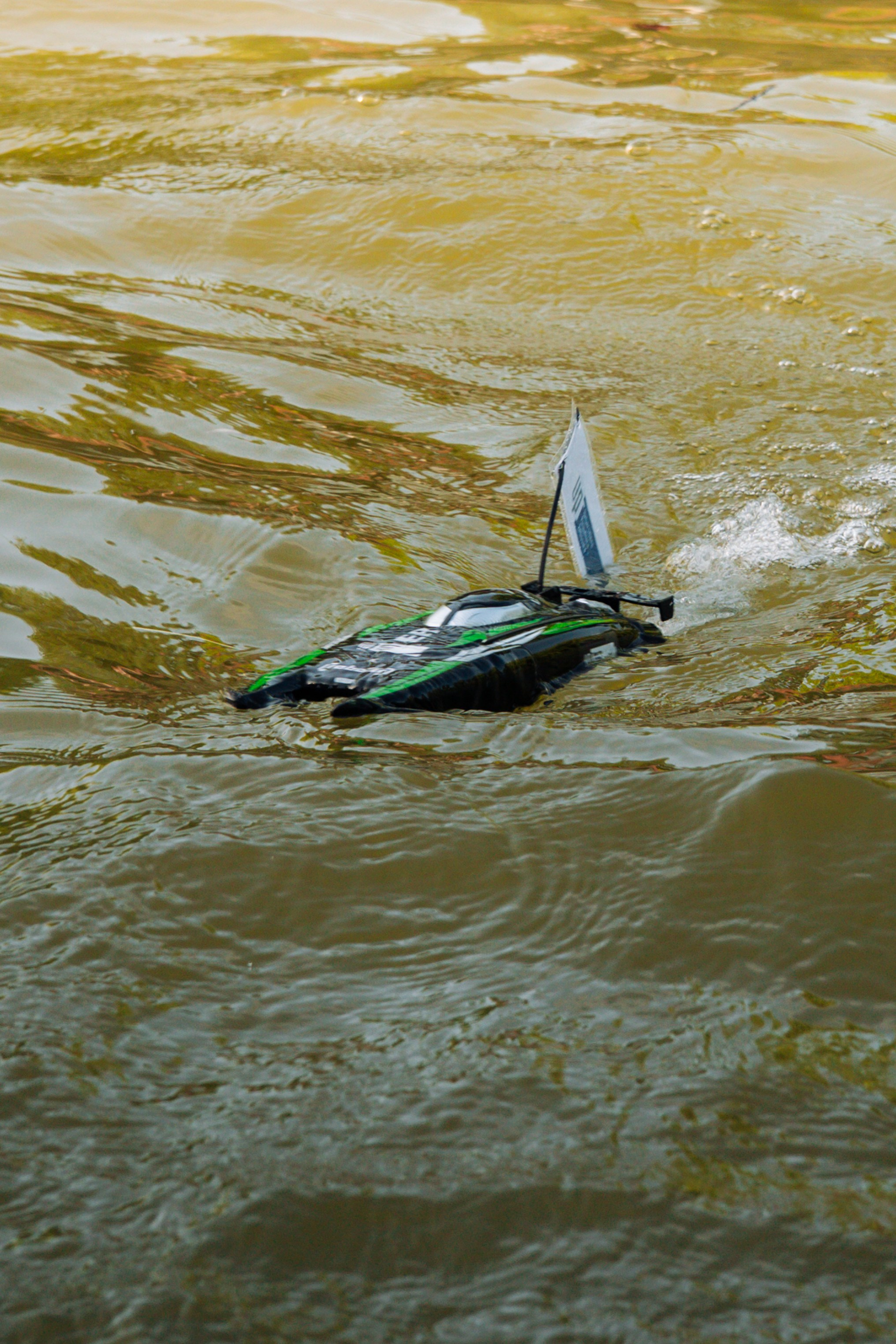 06.04 Bega Boat Race. Cozac Cristian Photographer