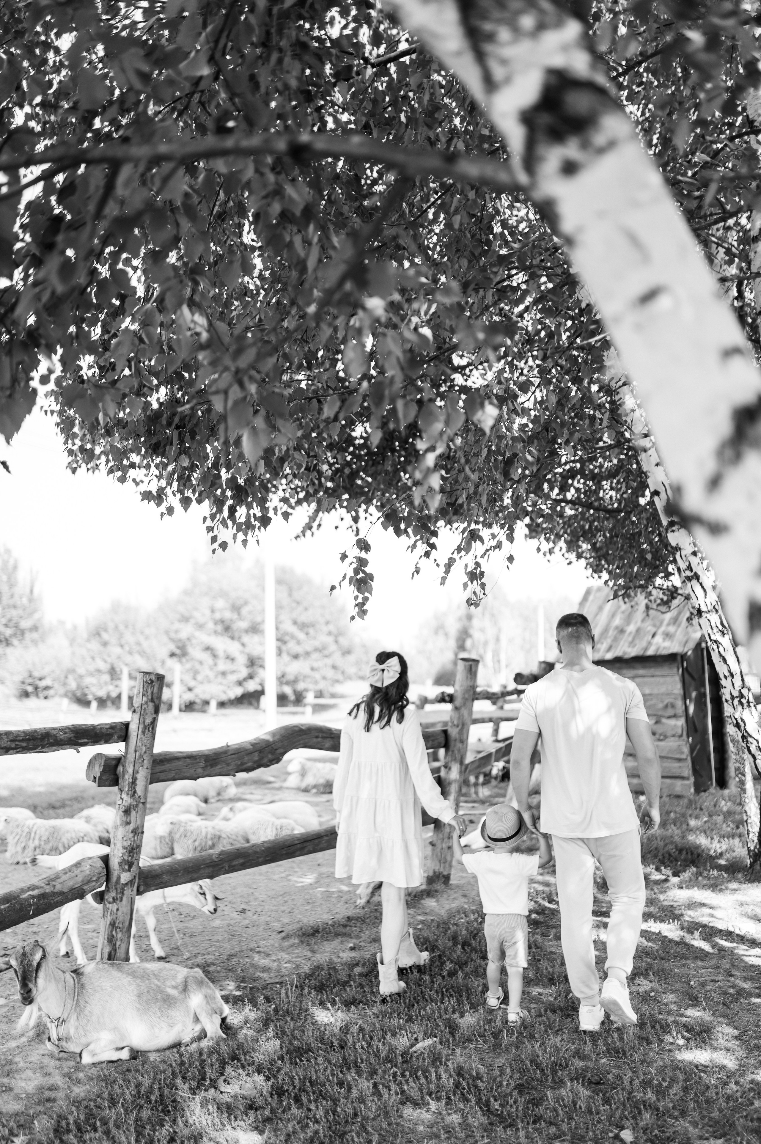 Семейная съемка. Свадебный и семейный фотограф в Минске и по всей Беларуси