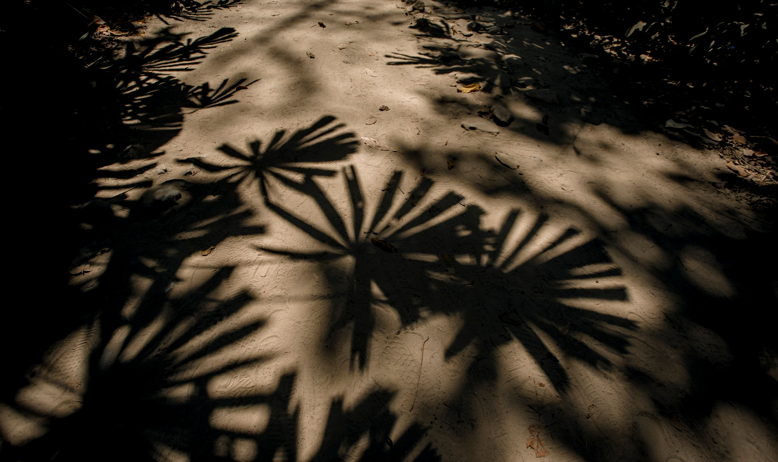 Andaman Islands, Part2. Art Photographer