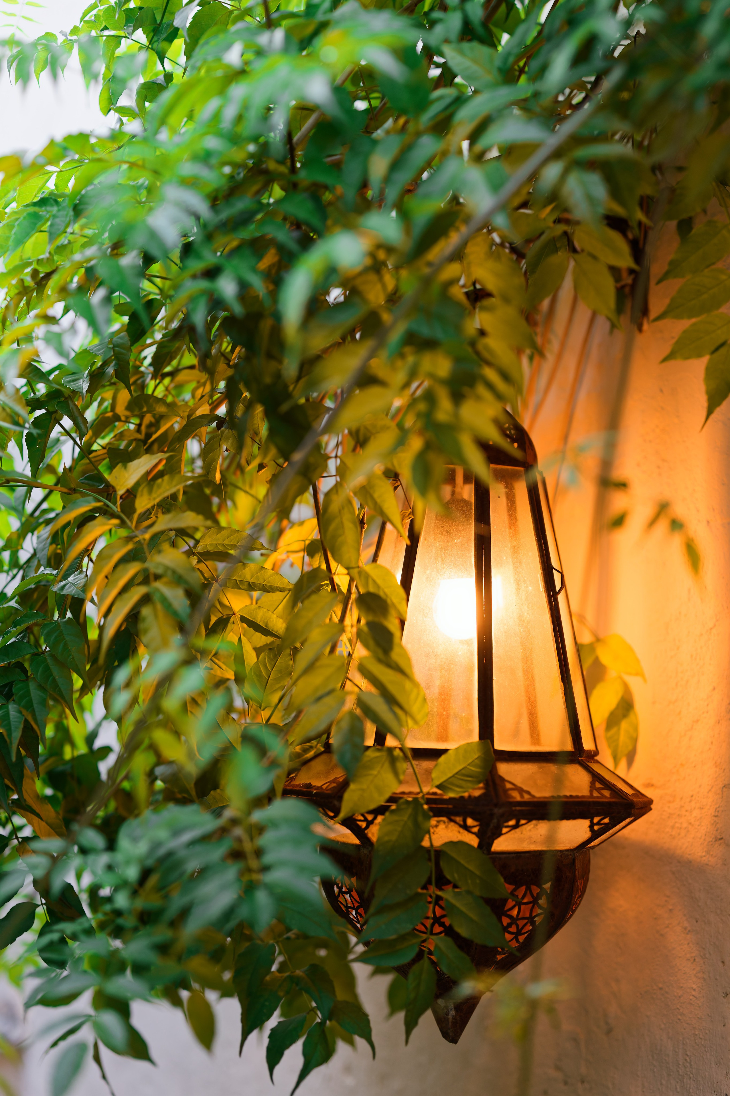 Haldi Ceremony & Mehndi Night & pre-wedding dinner, Barcelona