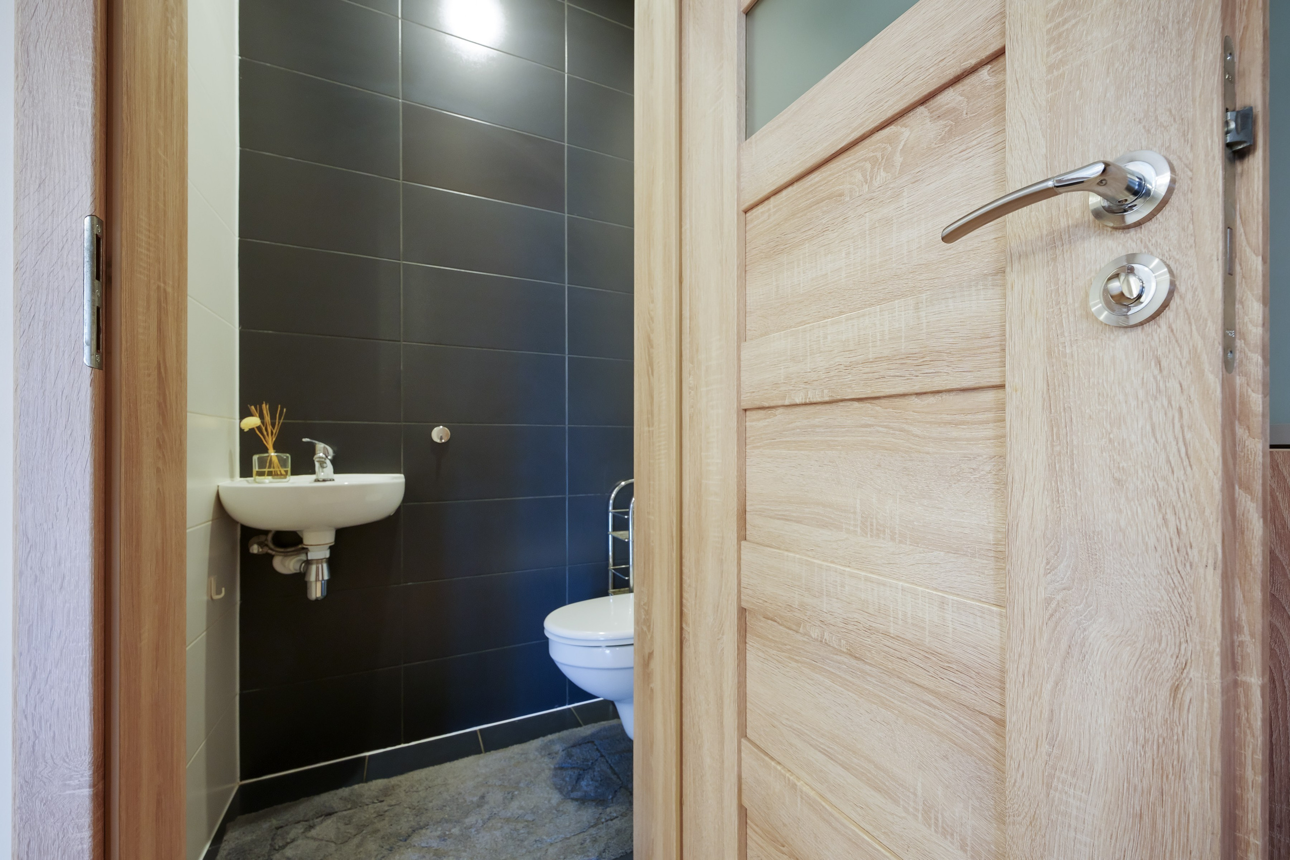 Tarandė. Elina Sapiega fotografė Vilniuje