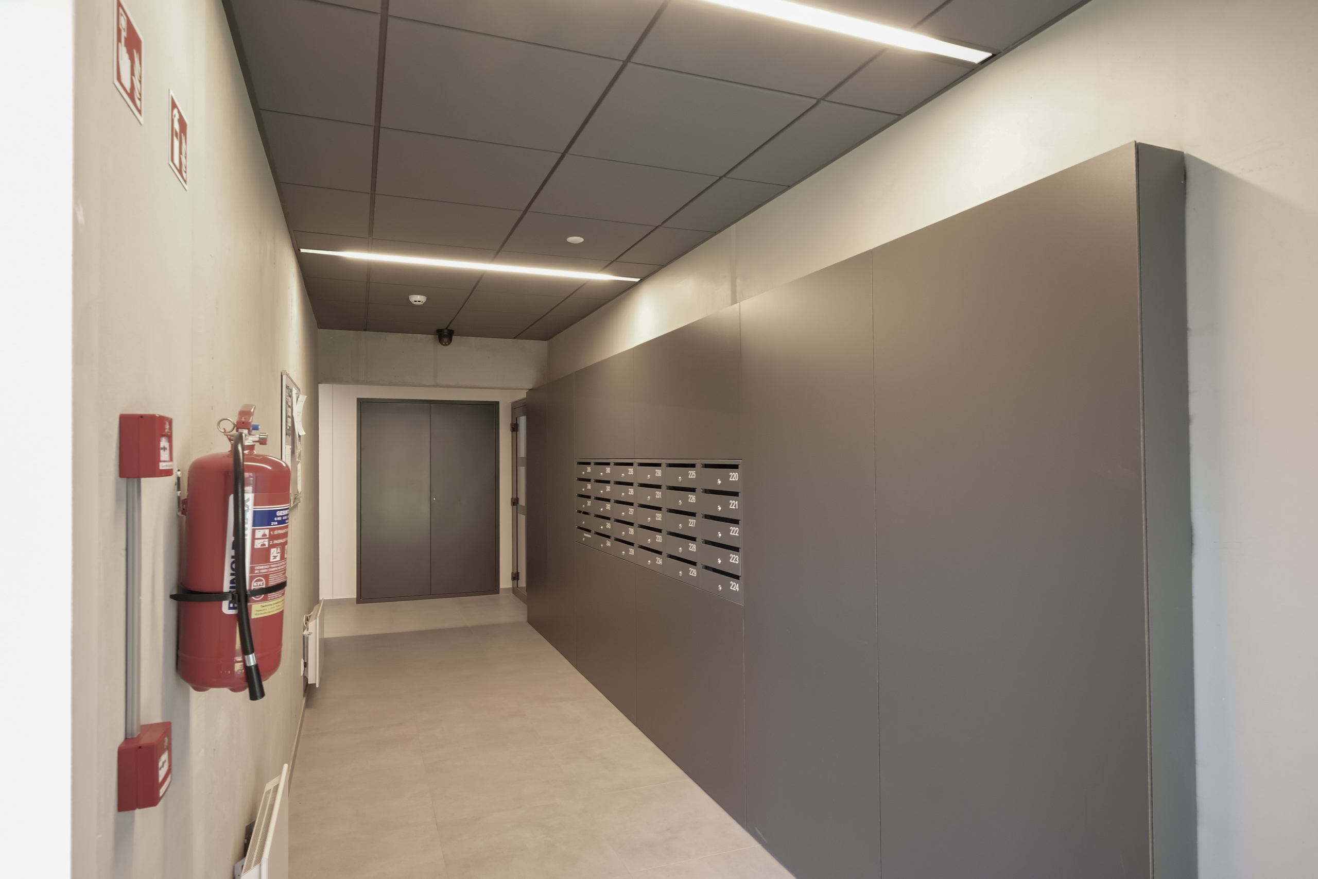 Kaukysos g. 3. Elina Sapiega fotografė Vilniuje