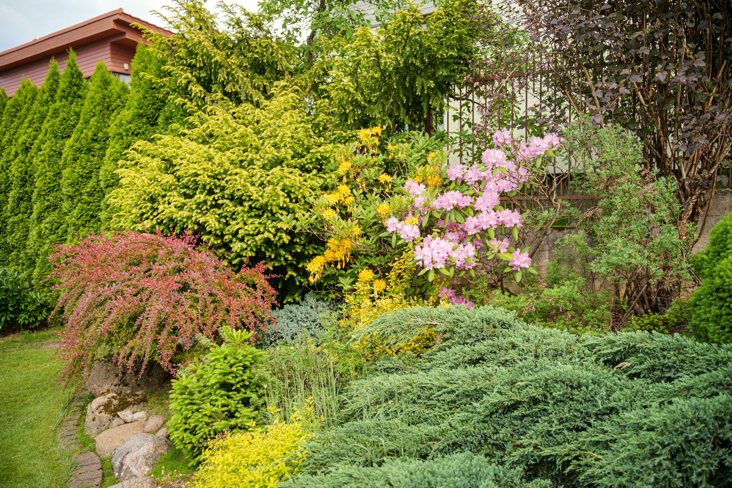 Viršupio sodų 1-oji. Elina Sapiega fotografė Vilniuje