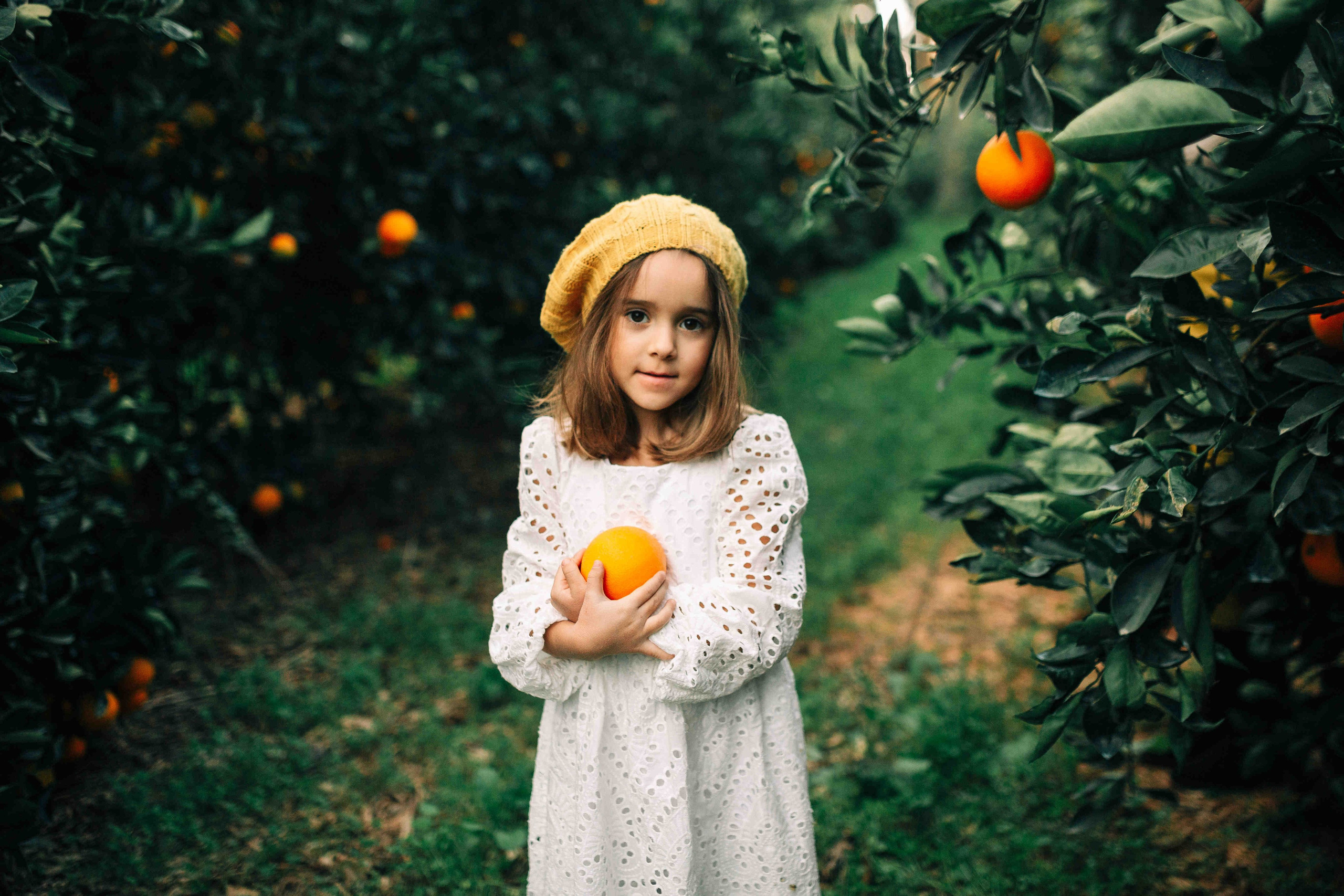 MANDARNINE GARDEN. Https://shi-photo.com/