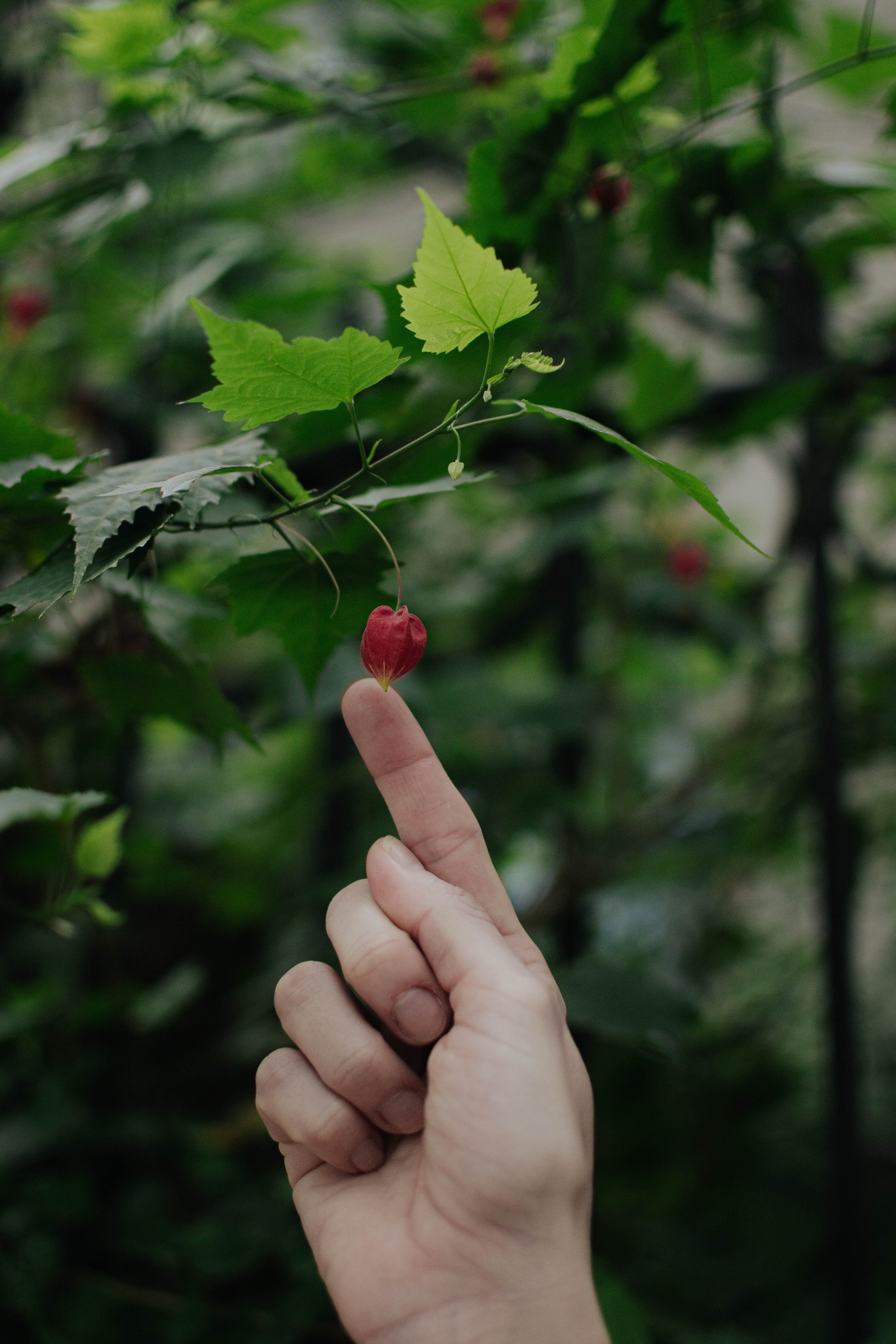 BAires and Zoya. Photographer @elmirkami in the city of Buenos Aires