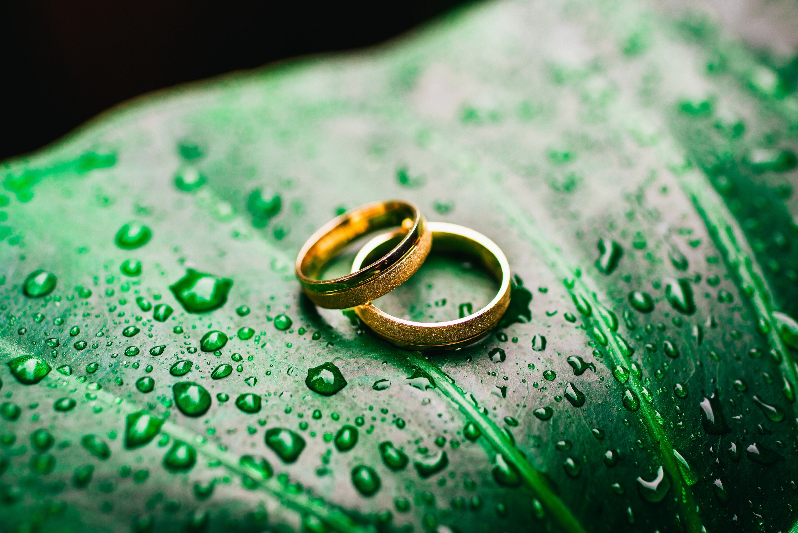 Daniel Cioc - Fotograf profesionist în București, specializat în evenimente, nunta, botez, corporate, portret și boudoir