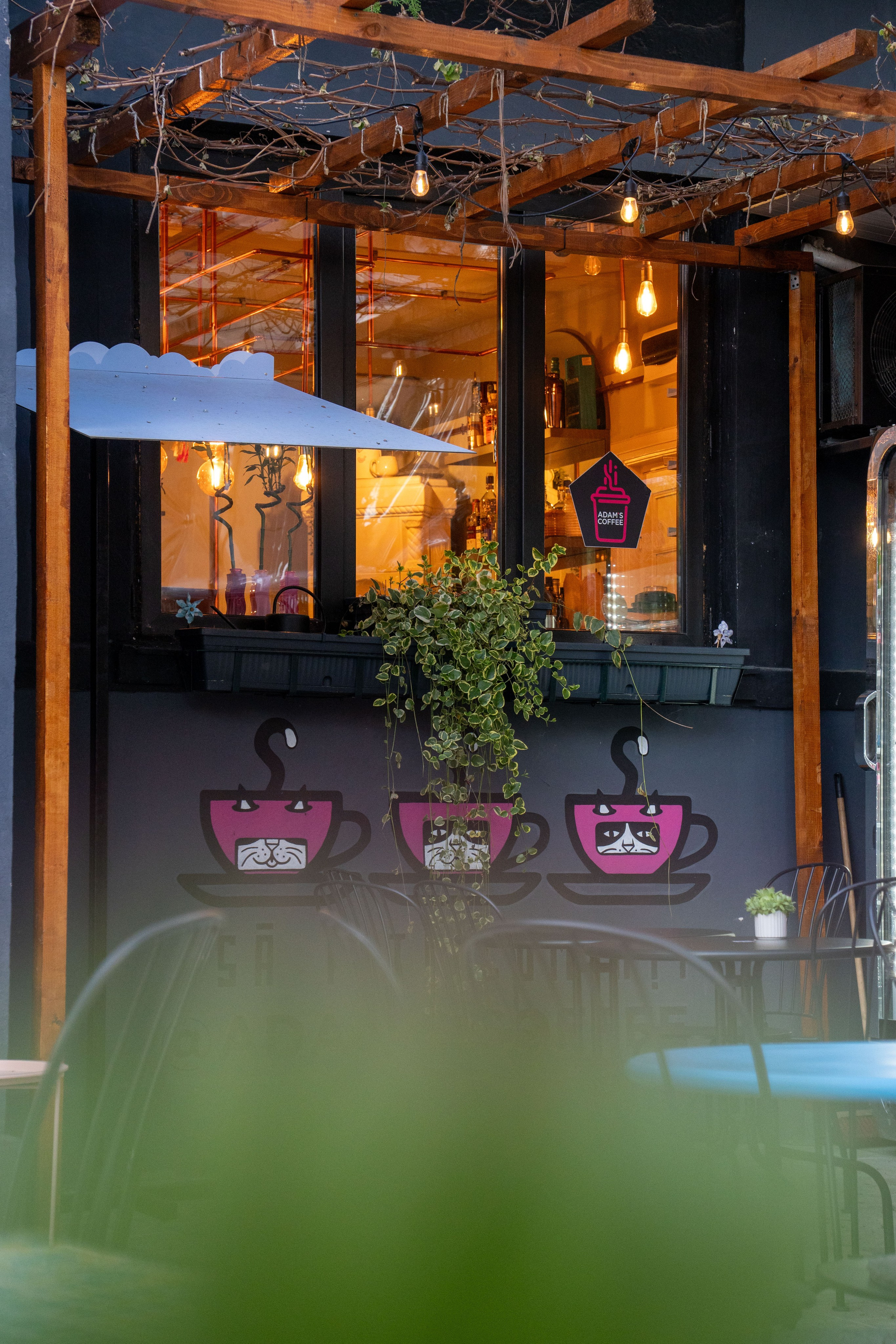 Adam’s. Creste si calatoreste