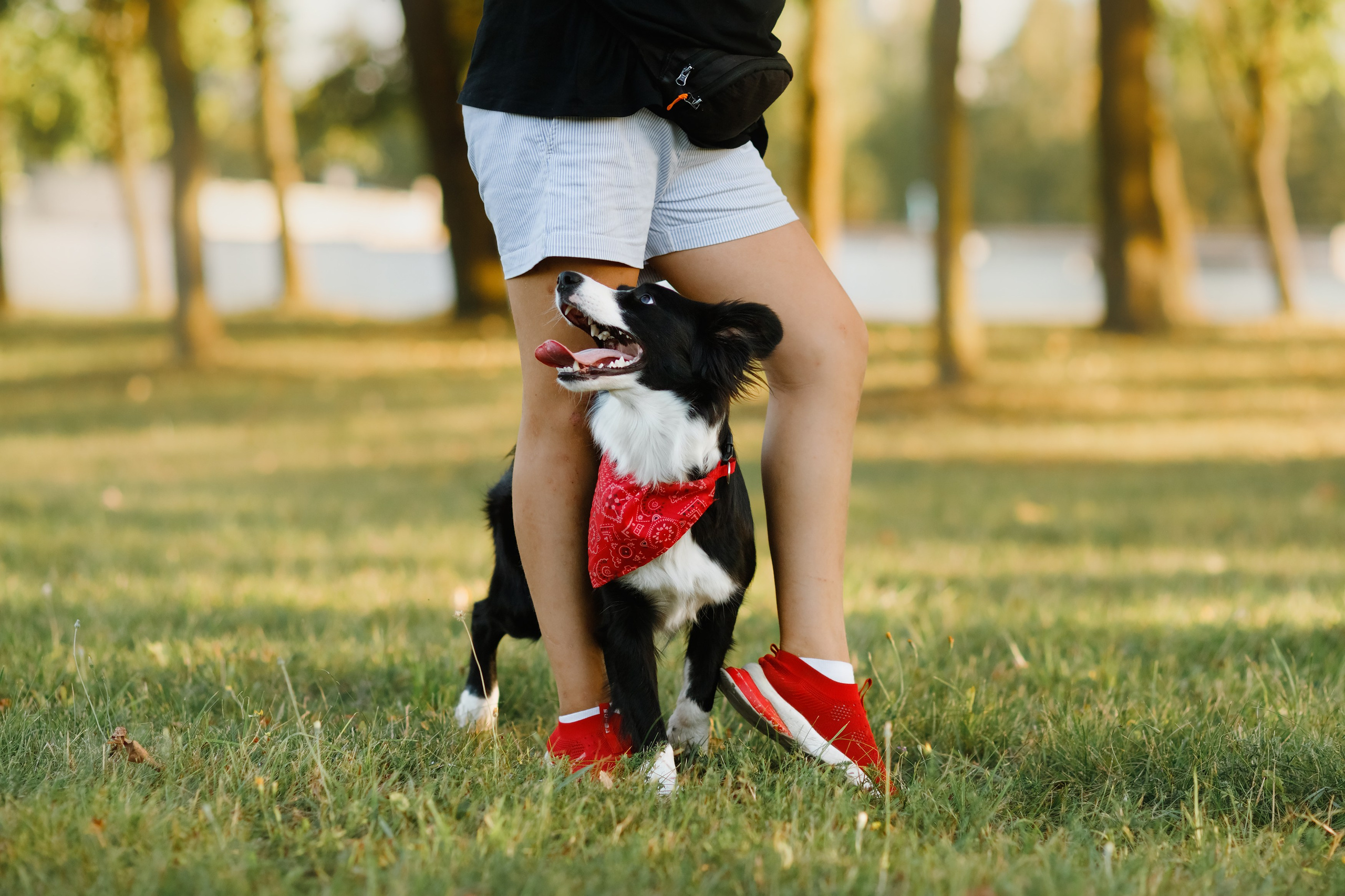 Frisbee workshop of Darya Lukina. Kaja | fotograf we Wrocławiu | ludzie i psy