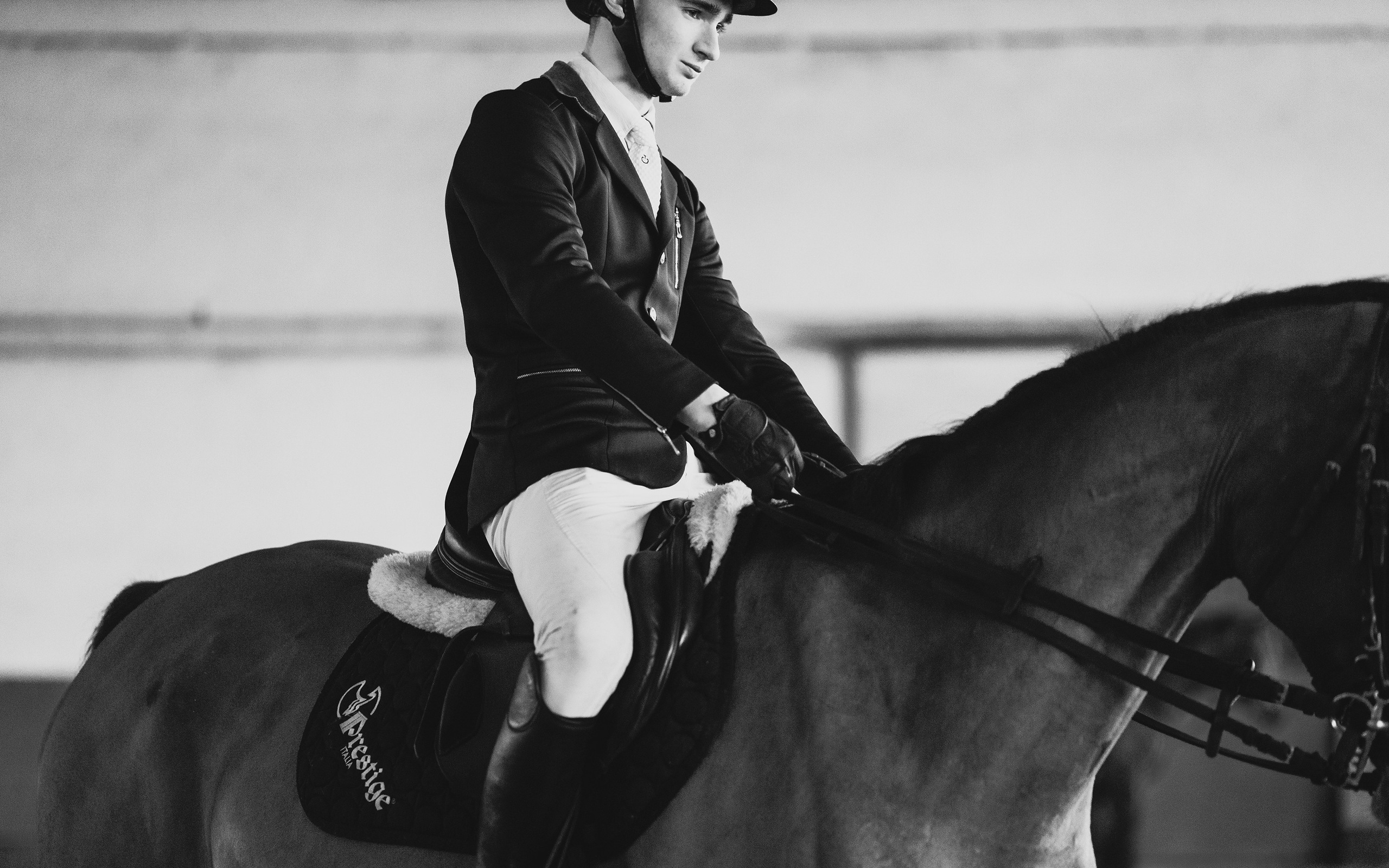 Winter show jumping in «Progress». Kaja | fotograf we Wrocławiu | ludzie i psy