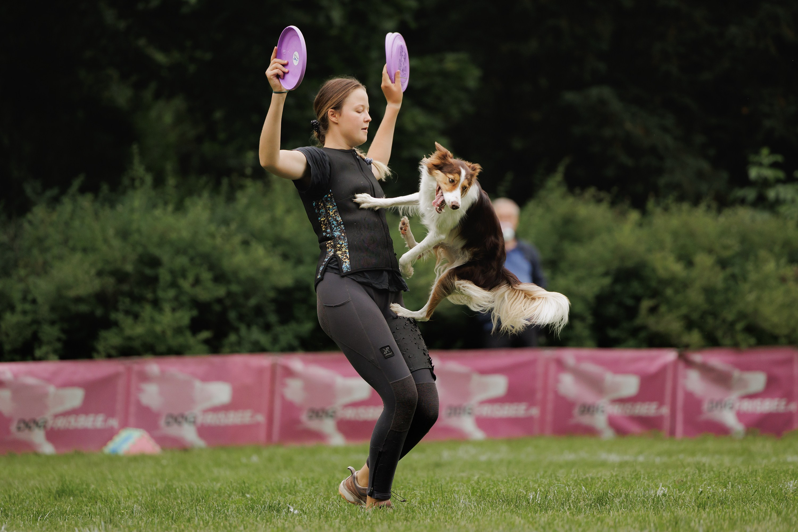 Latające psy, Wrocław'25. Kaja | fotograf psów we Wrocławiu