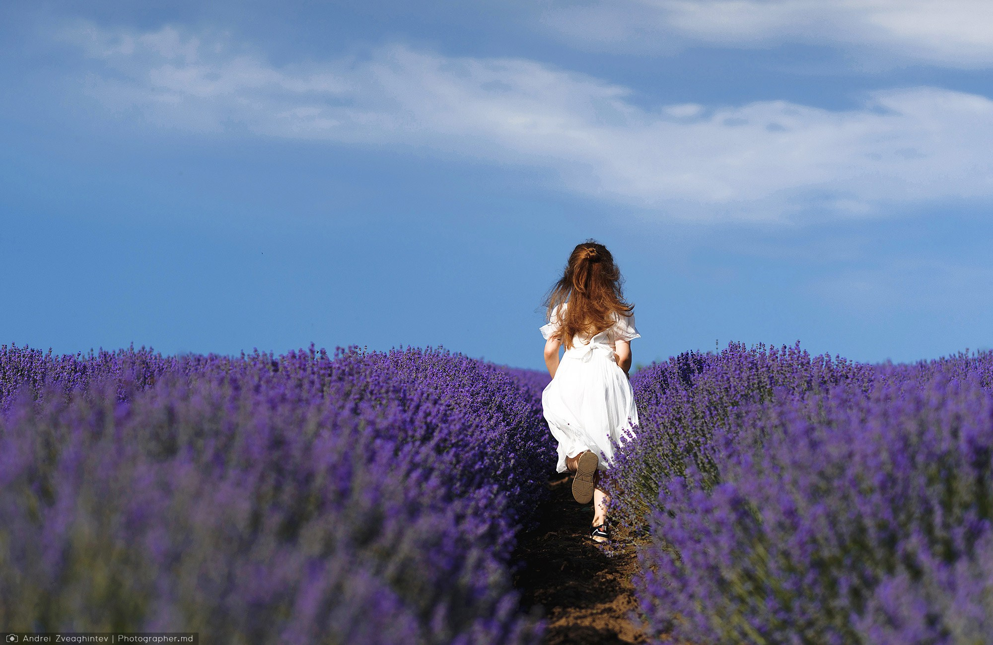 Family photosession in lavender in Moldova — family and wedding photographer Andrei Zveaghintev. Wedding and family photographer in Moldova, Chisinau— Andrei Zveaghintev