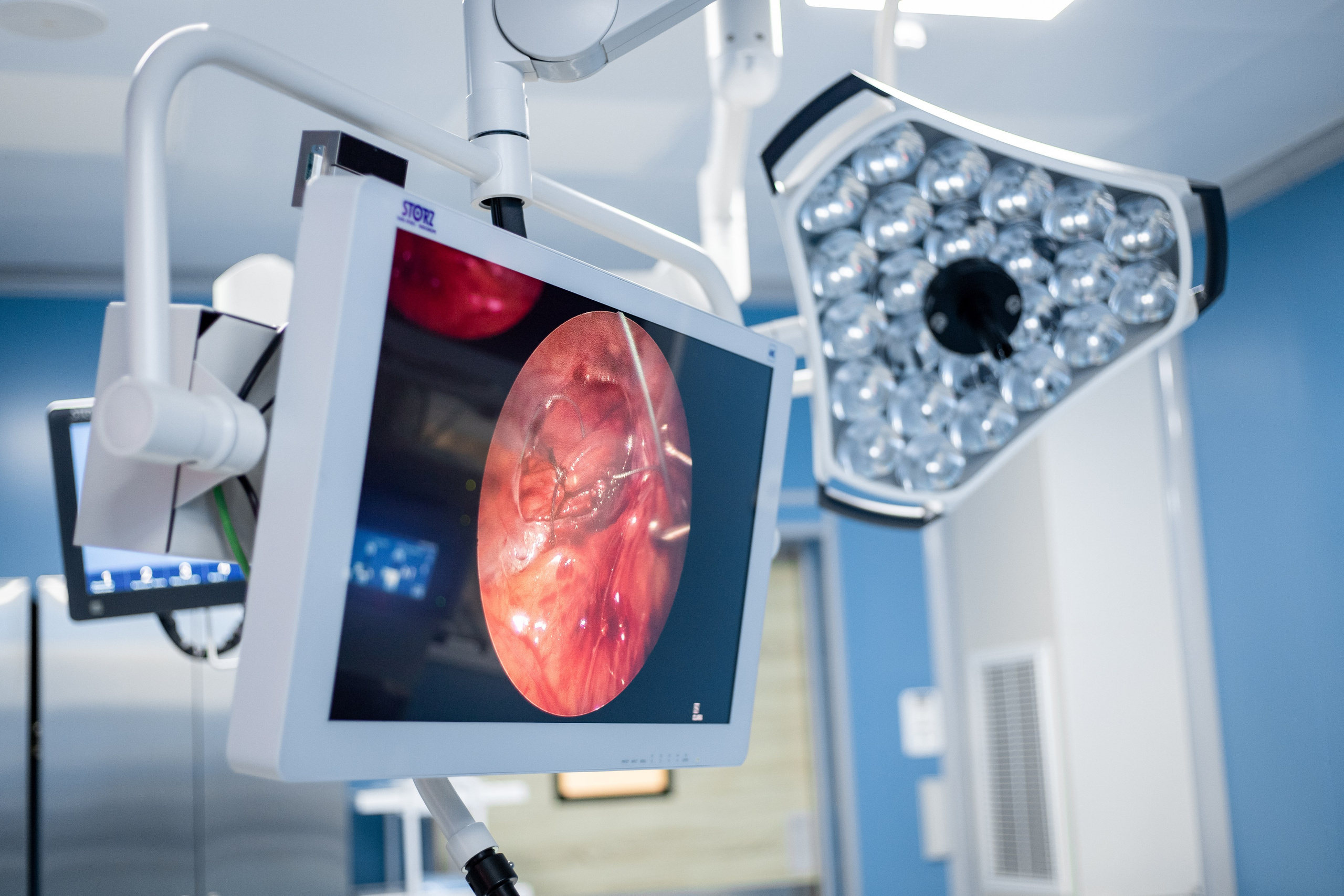 Business. Portrait and family photographer in Fort Collins Dania Gaisina