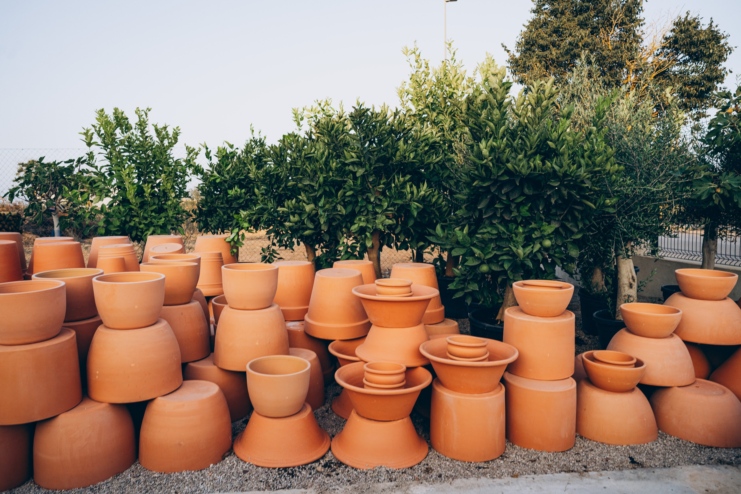 Centro Jardin. Photographer in Mallorca
