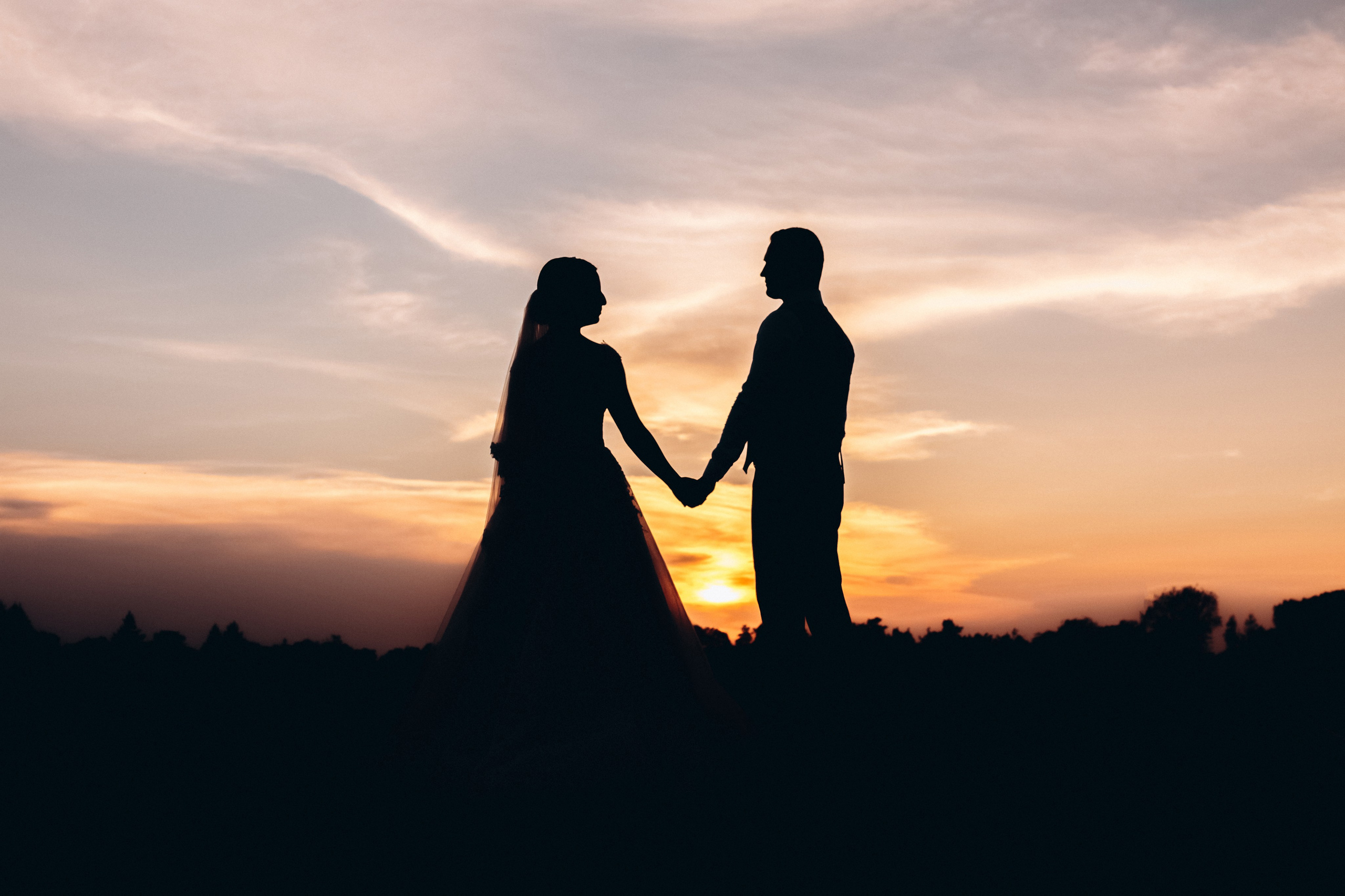 Alex & Anastasia. Wedding and Family Photograph