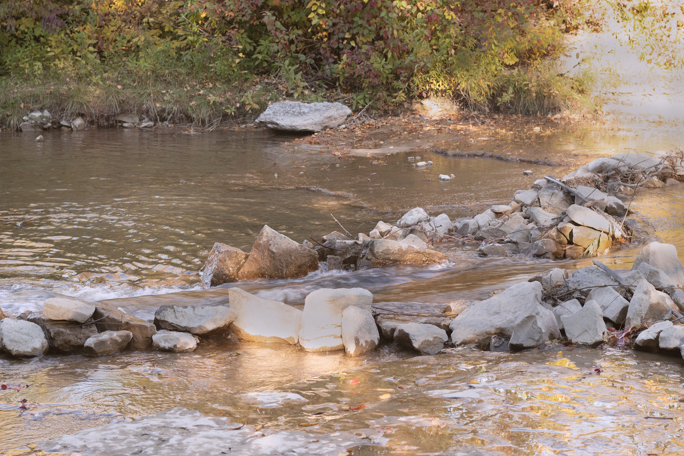Outdoor photos. Toronto Portrait Photographer Lena Lac