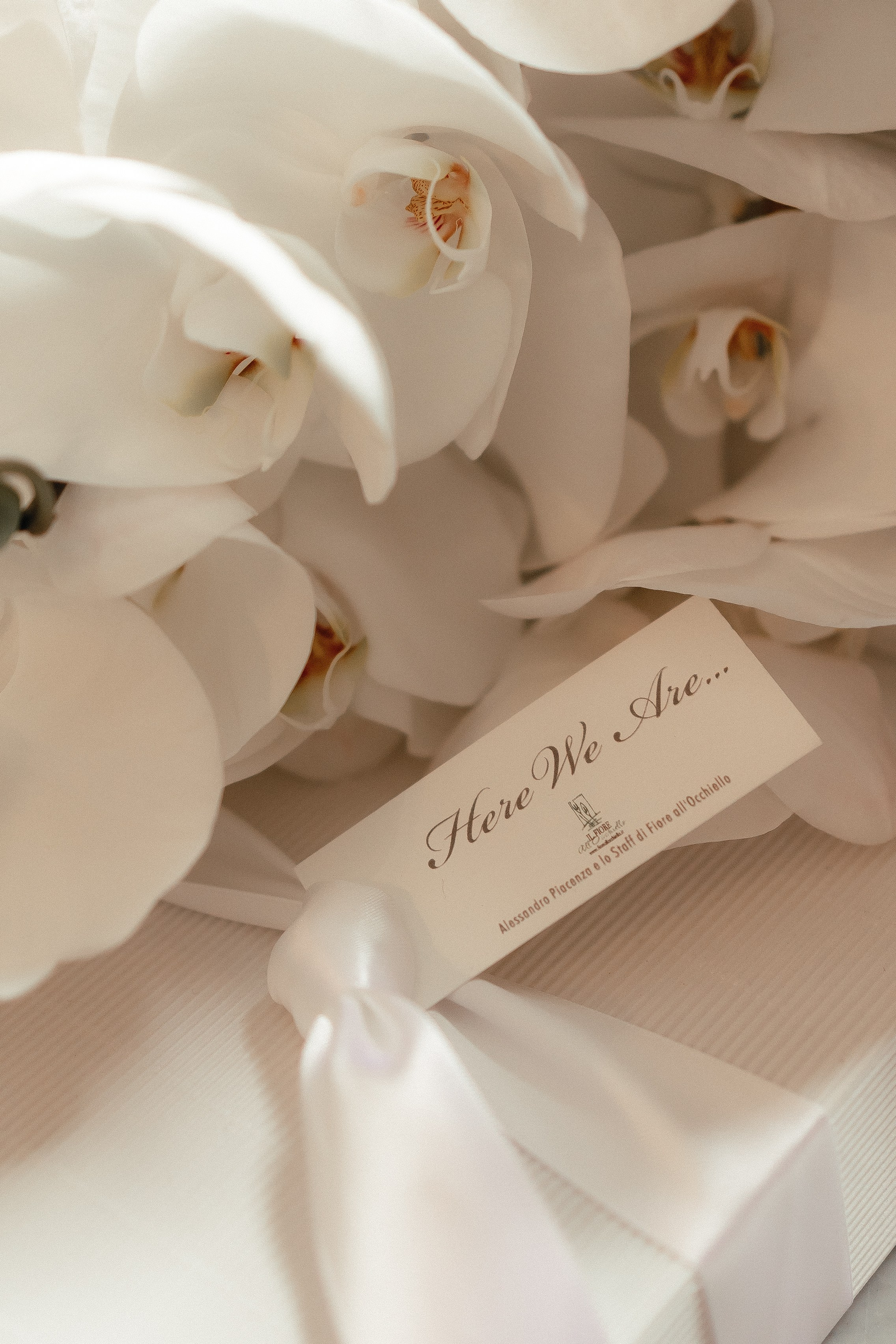 Villa Rizzardi Wedding Photography. Photographer in Italy Anna Linnik