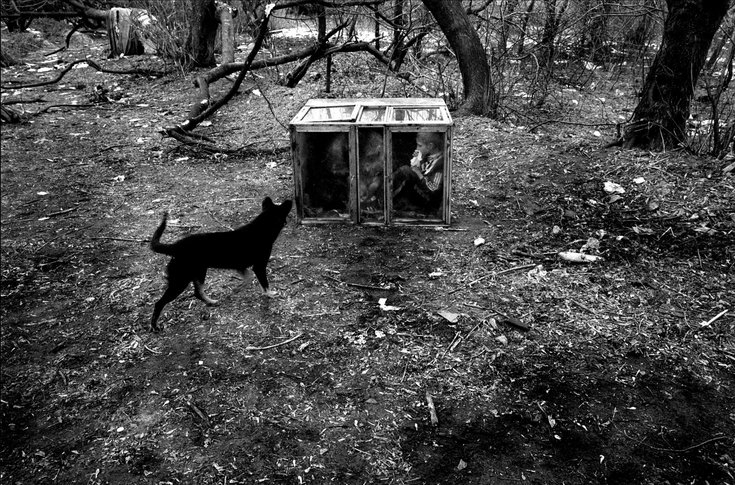 A stray dog watches as Denise Selivanov, 13, inhales glue in a box. For most children inhaling glue not only kills the pain of their sad existence but their hunger pains as well. Inhaling in the box where the rancid fumes of the glue stays trapped longer decreases the amount of glue needed and keeps them high longer. 
