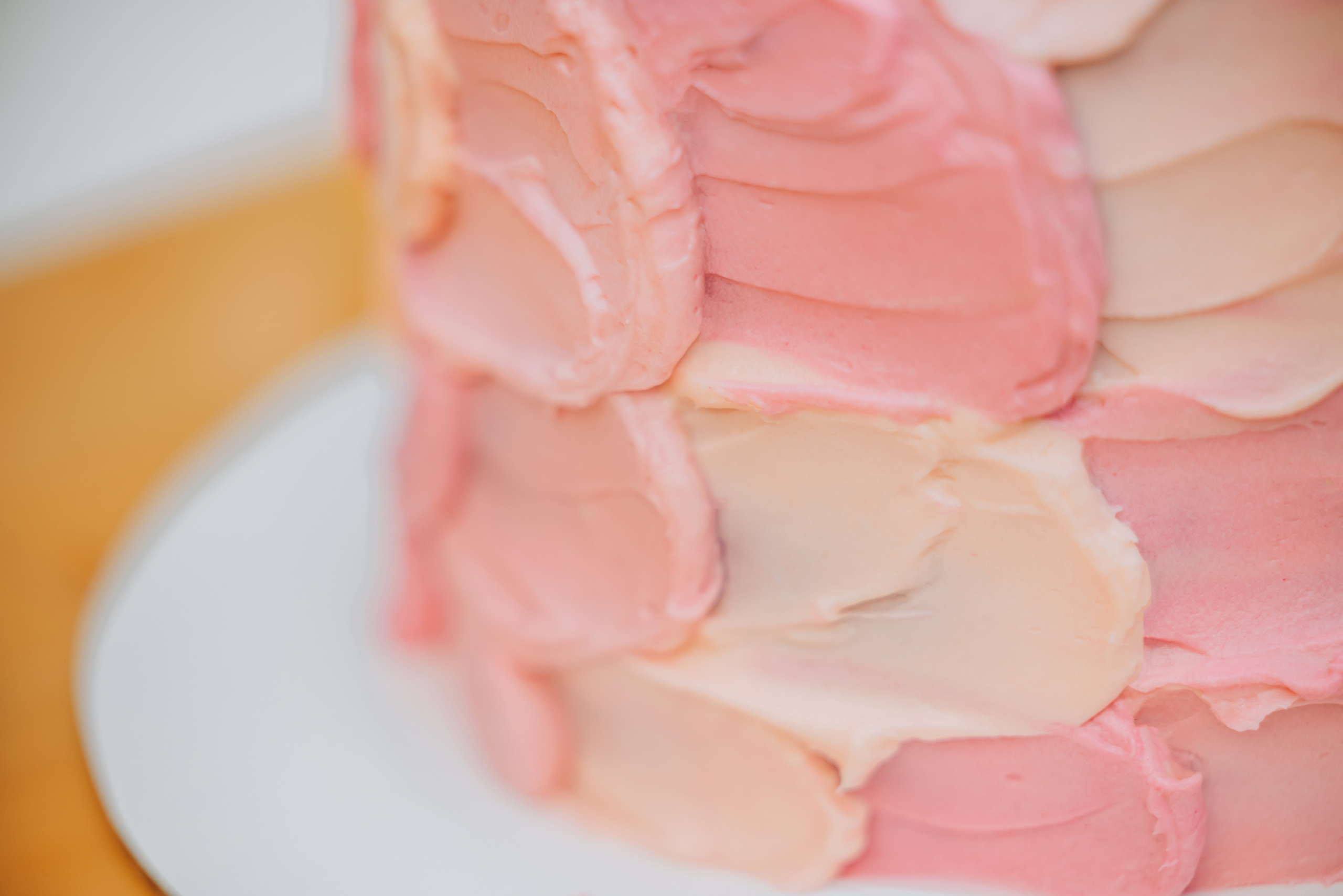 EVELINA 5. Pittsburgh wedding and family photographer