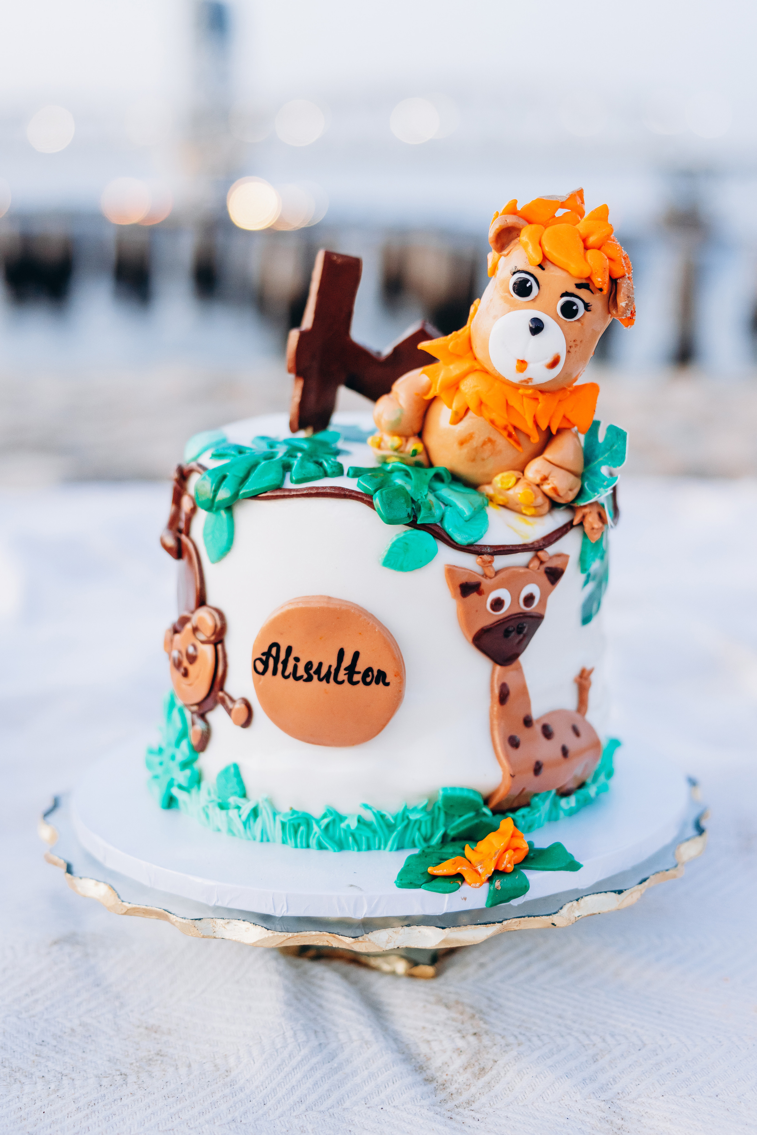 ALISHER 4. Pittsburgh wedding and family photographer