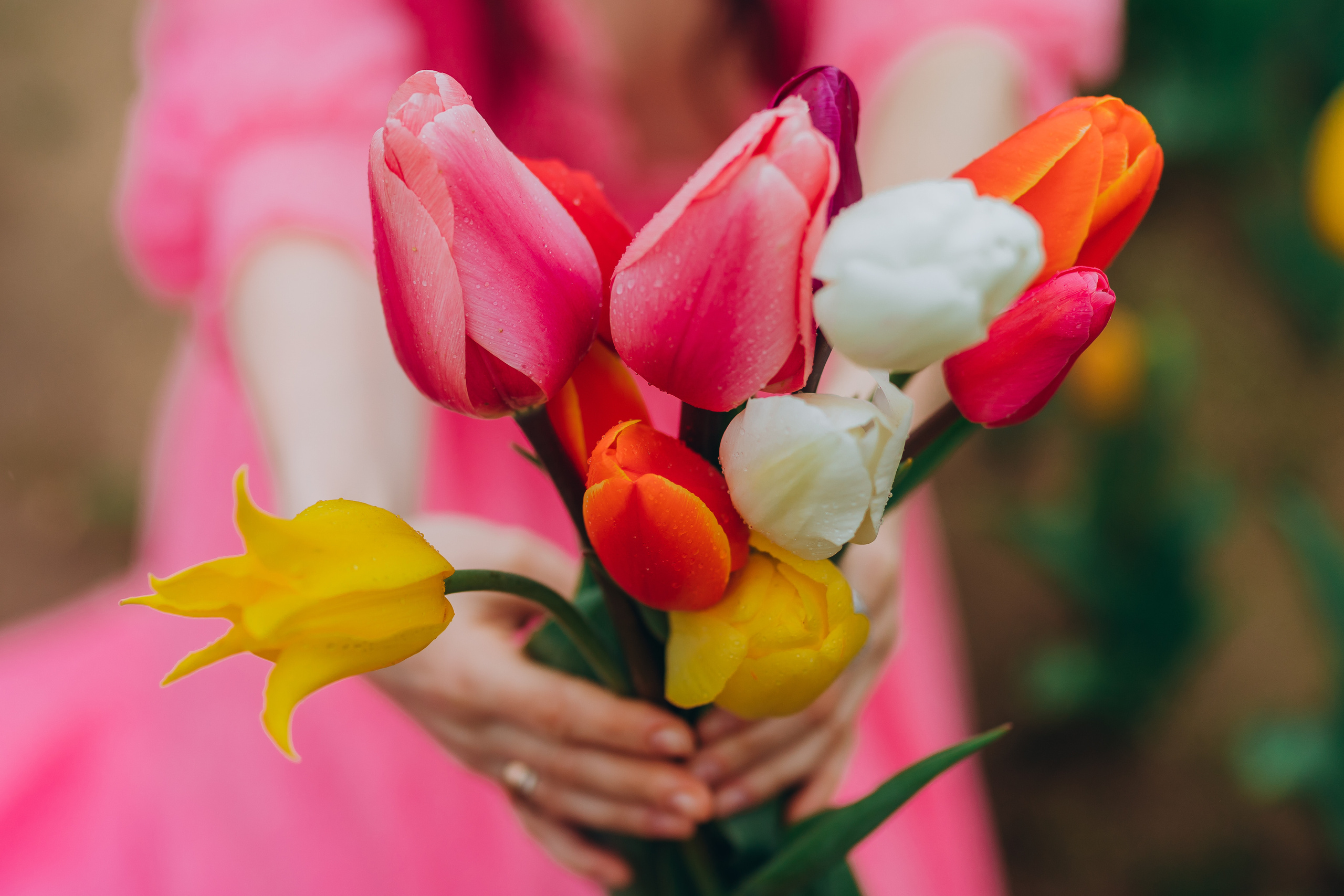 VITA. Pittsburgh wedding and family photographer