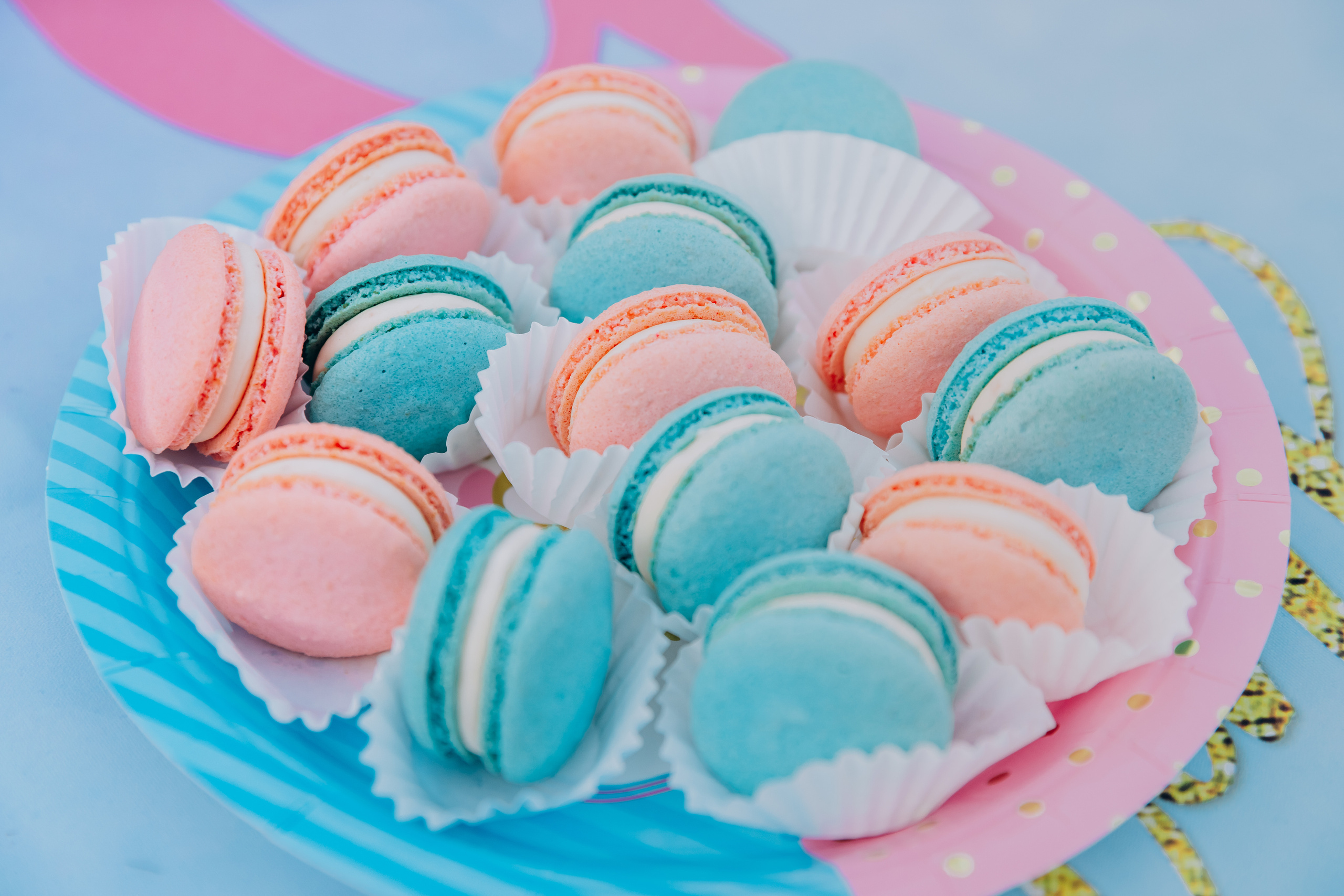 RAMIL & MARINA MATERNITY. Pittsburgh wedding and family photographer