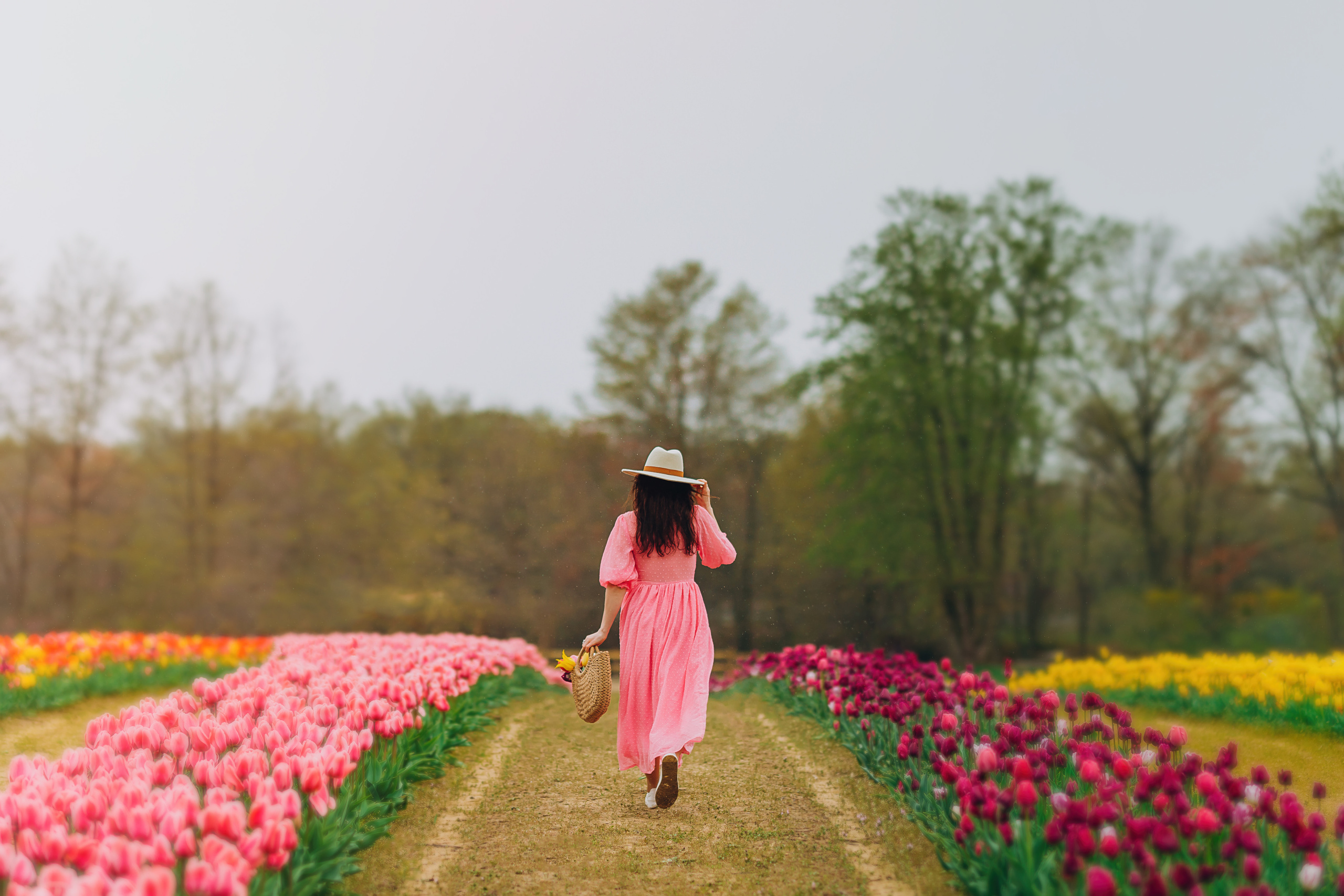 VITA. Pittsburgh wedding and family photographer