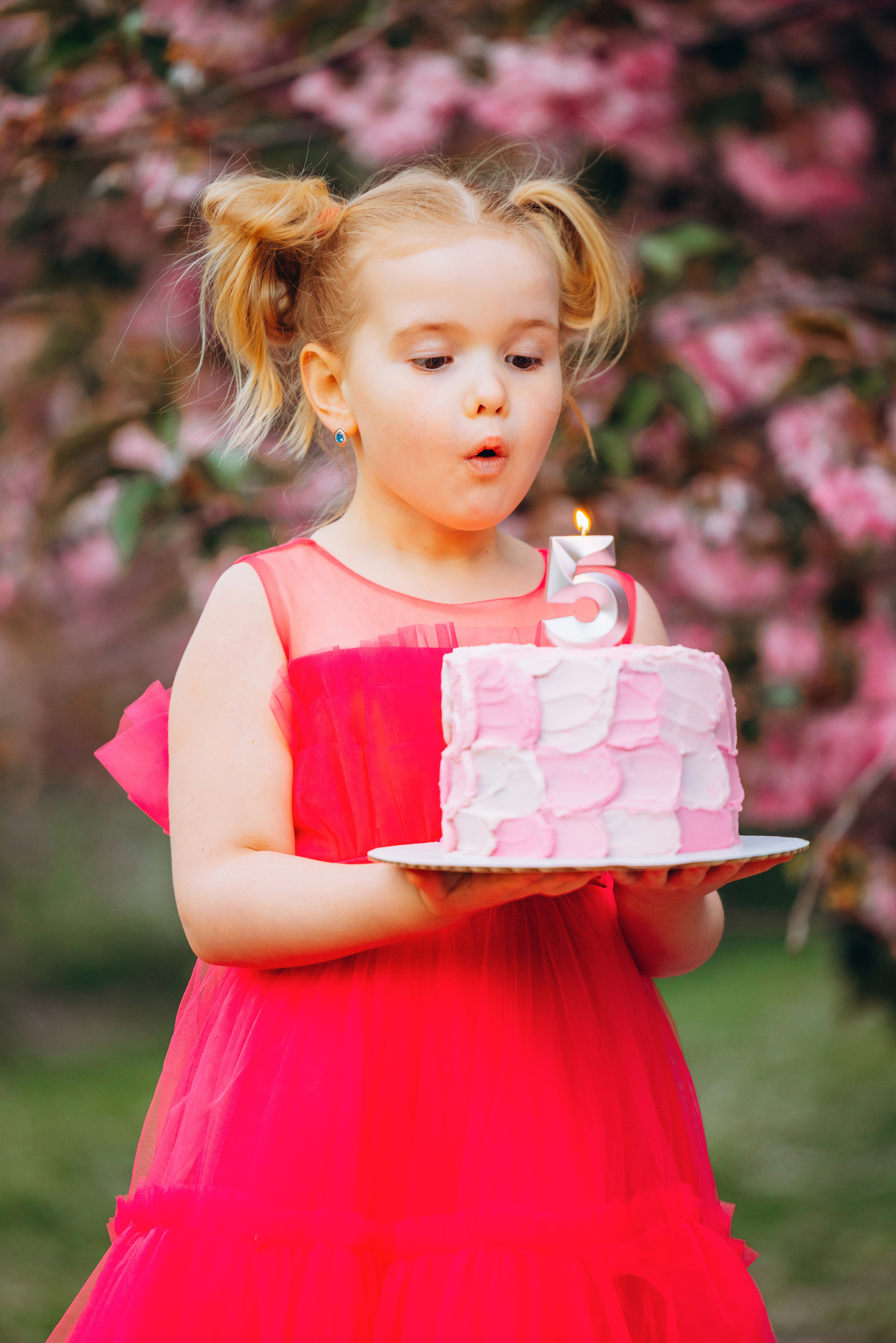 EVELINA 5. Pittsburgh wedding and family photographer