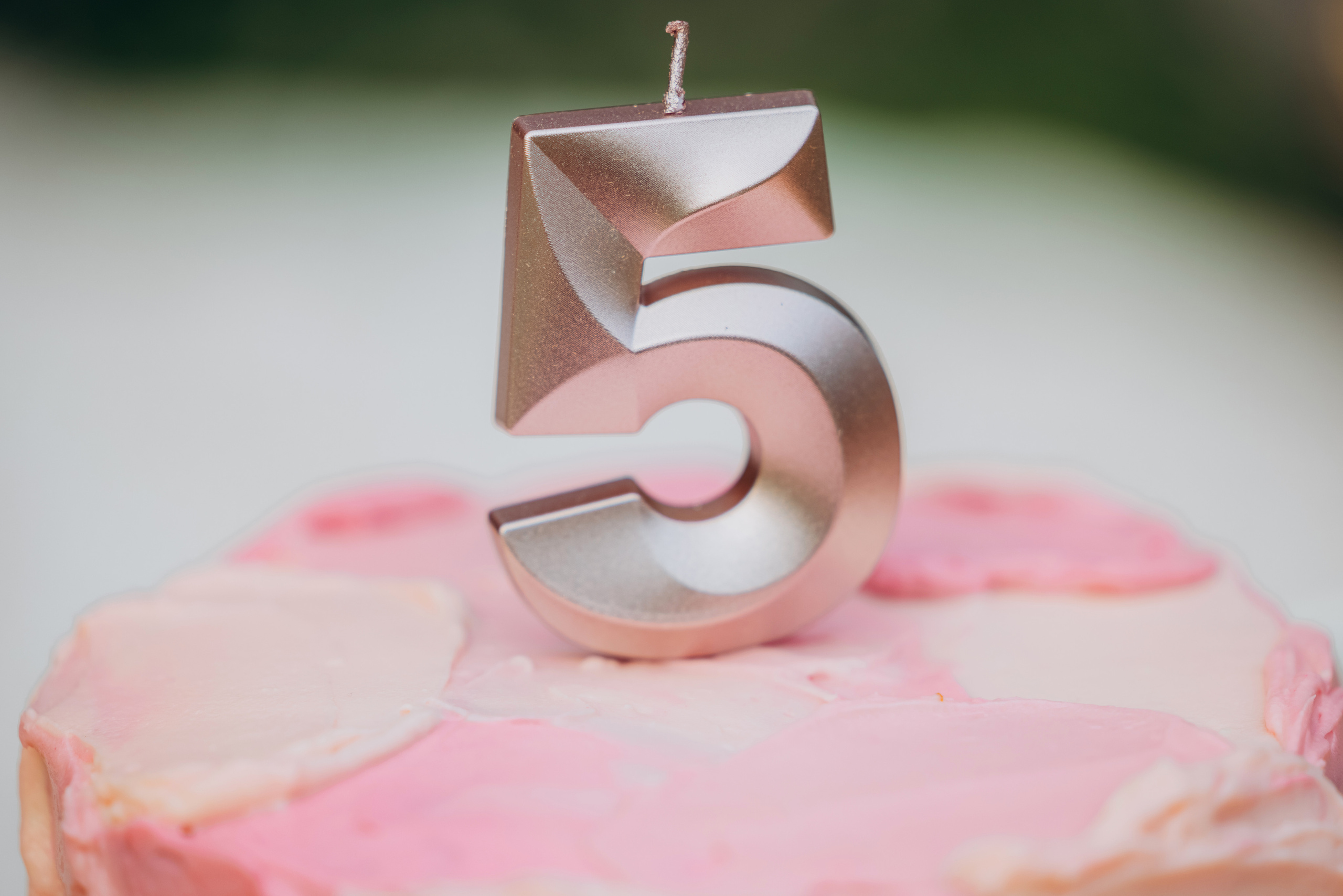 EVELINA 5. Pittsburgh wedding and family photographer