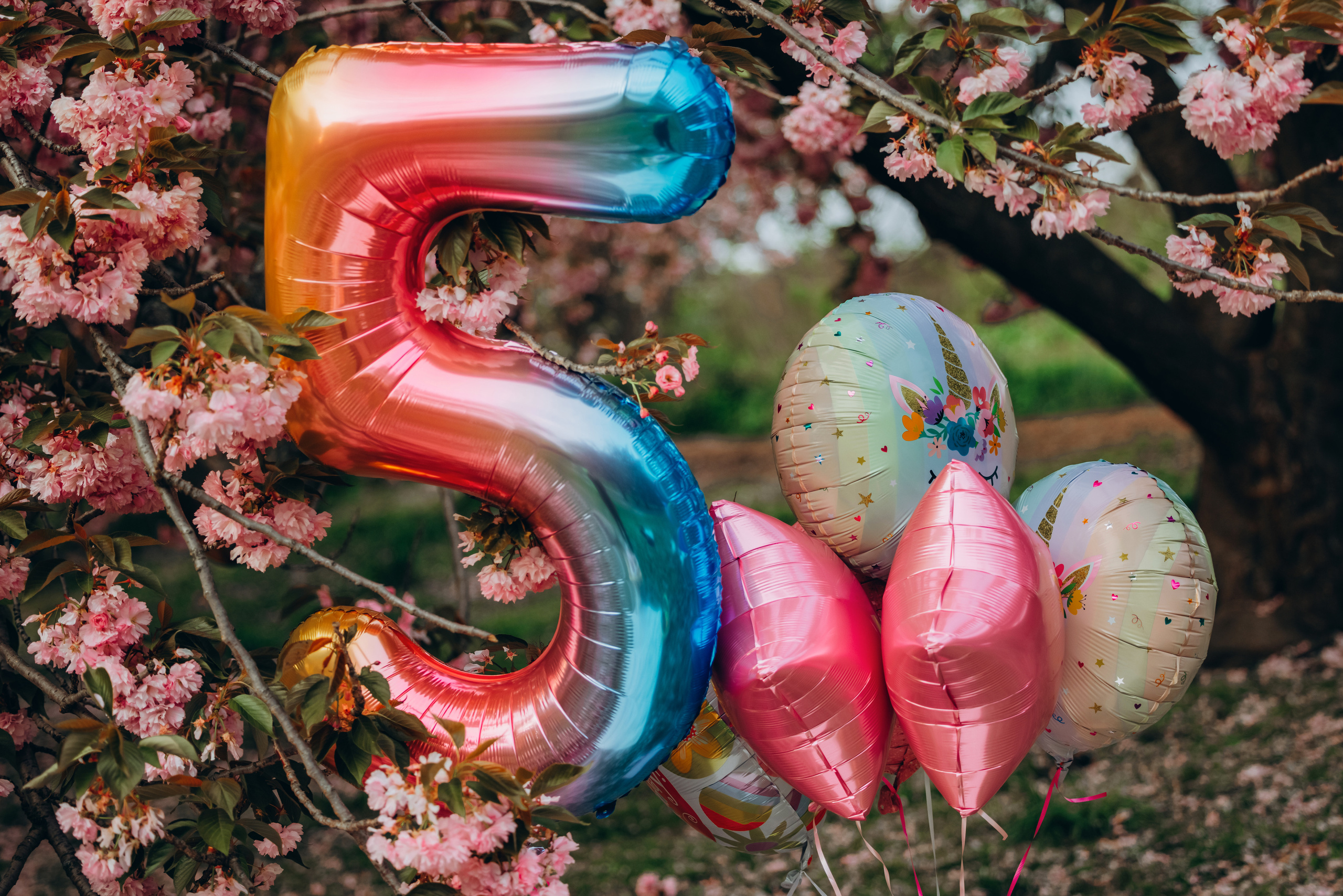 EVELINA 5. Pittsburgh wedding and family photographer