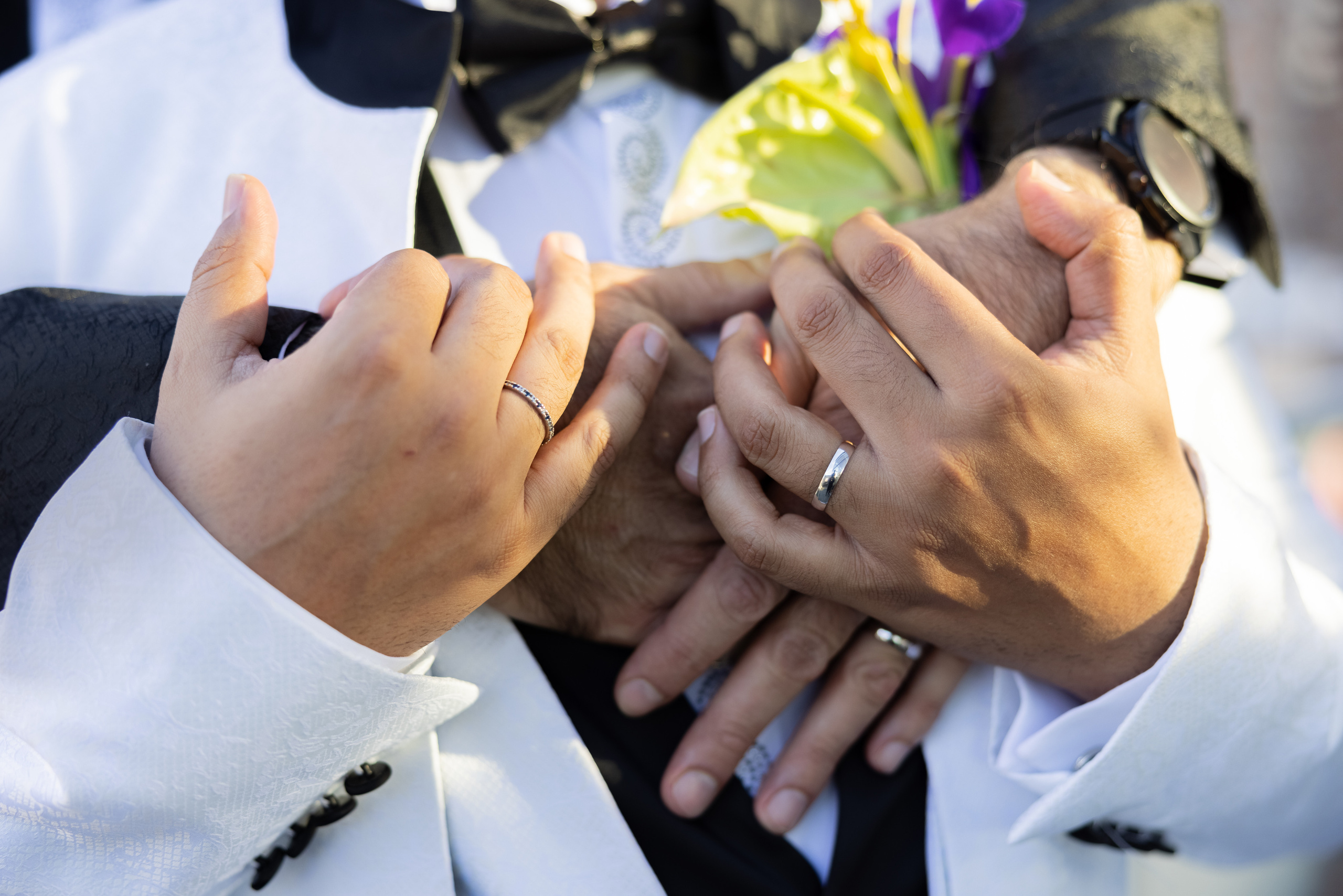 IVAN & MICHAEL. Pittsburgh wedding and family photographer