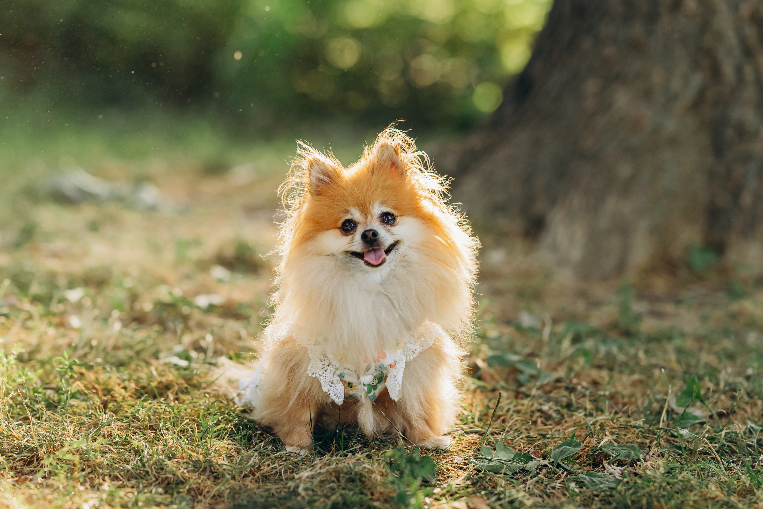 JULIA & MOM. Pittsburgh wedding and family photographer