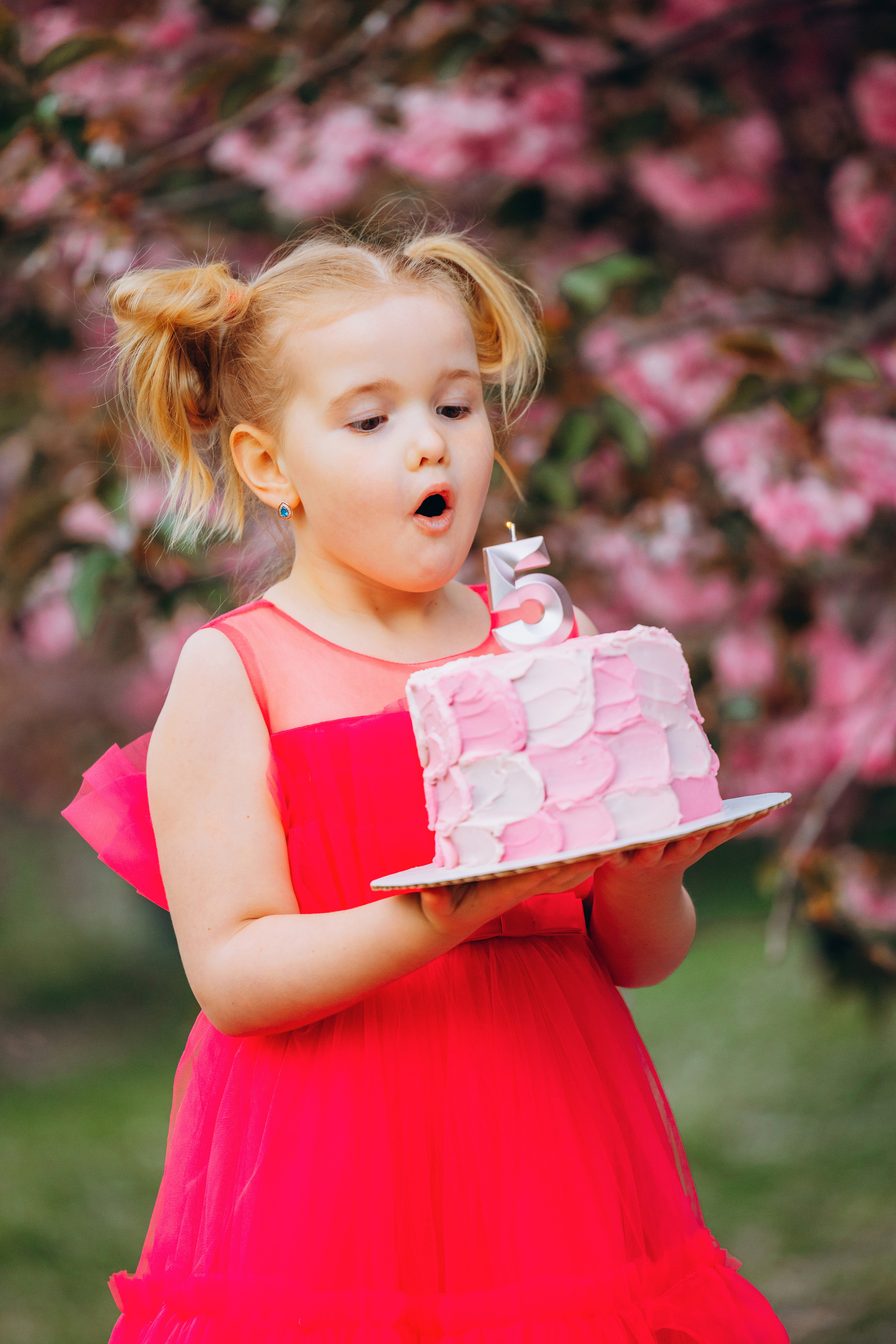 EVELINA 5. Pittsburgh wedding and family photographer