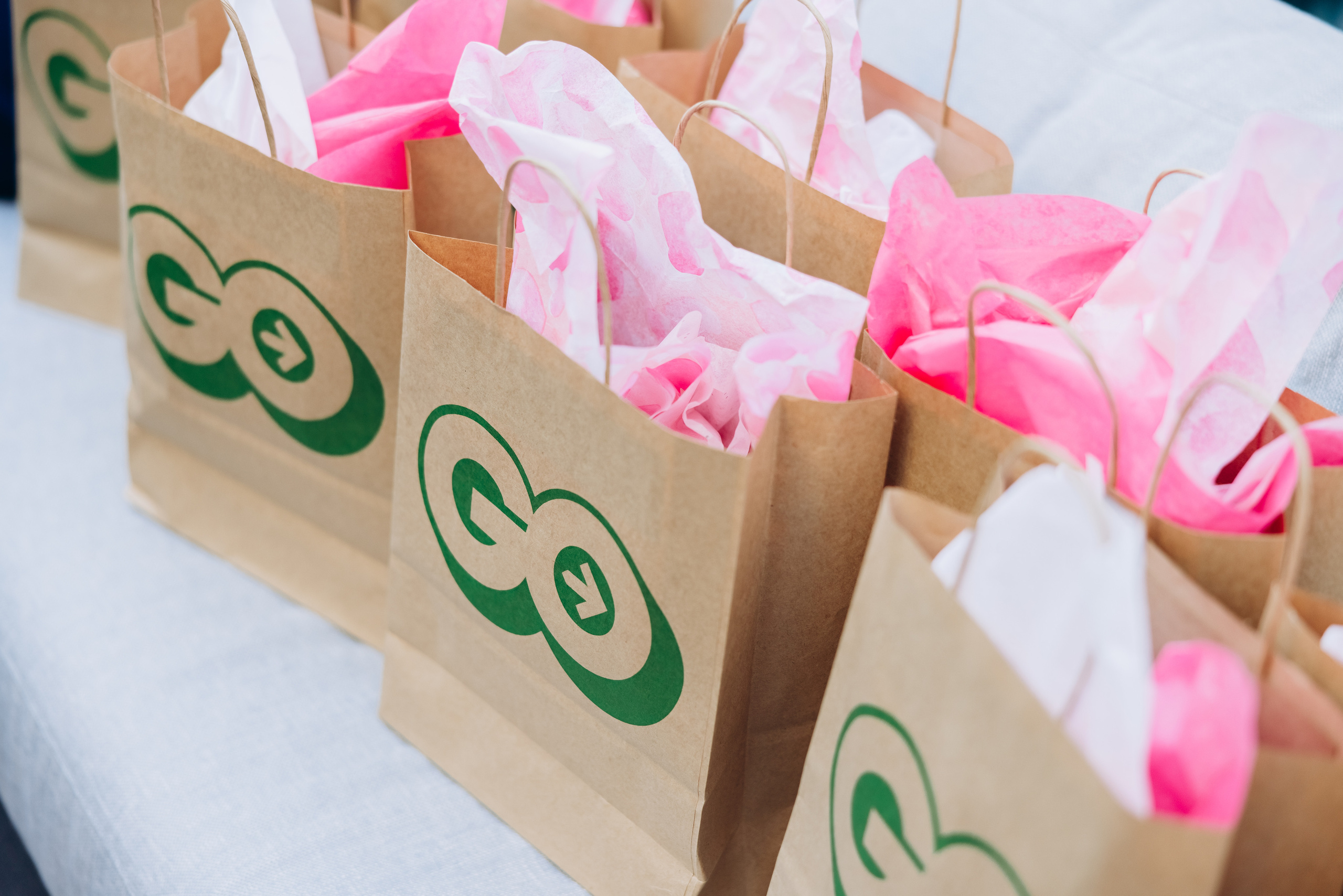 STEPHEN & JENNIE. Pittsburgh wedding and family photographer