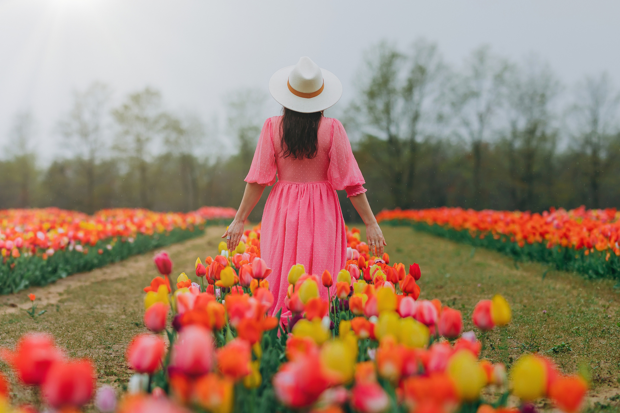 VITA. Pittsburgh wedding and family photographer