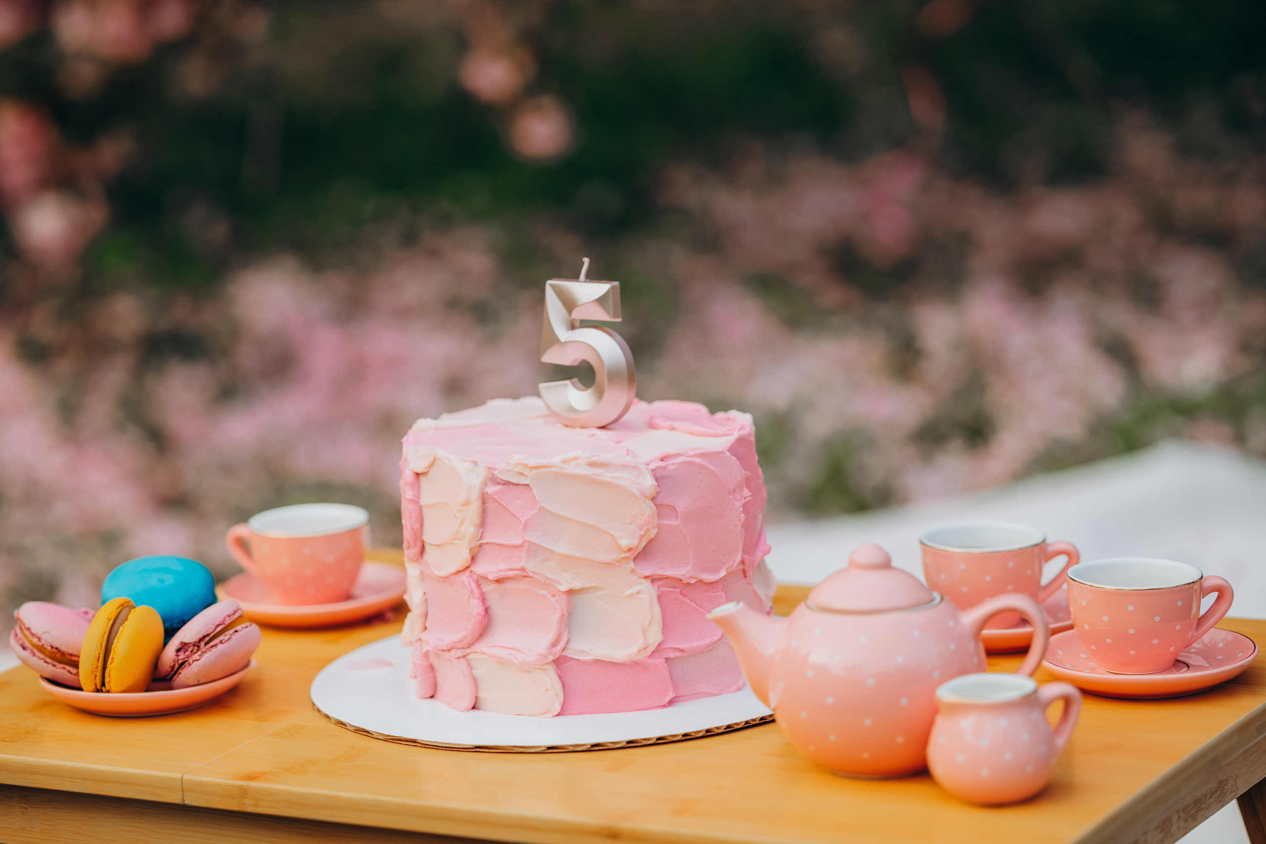 EVELINA 5. Pittsburgh wedding and family photographer