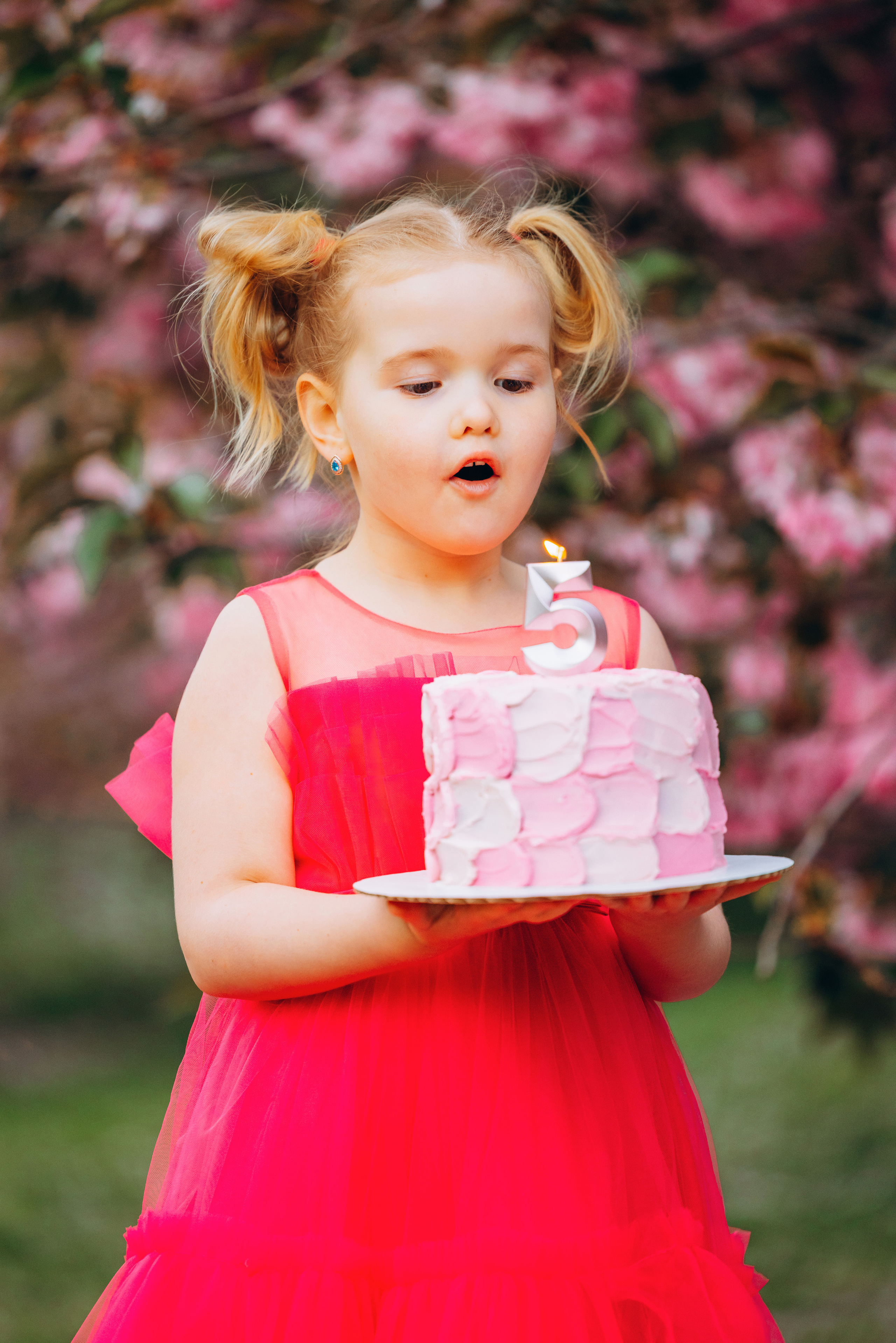 EVELINA 5. Pittsburgh wedding and family photographer