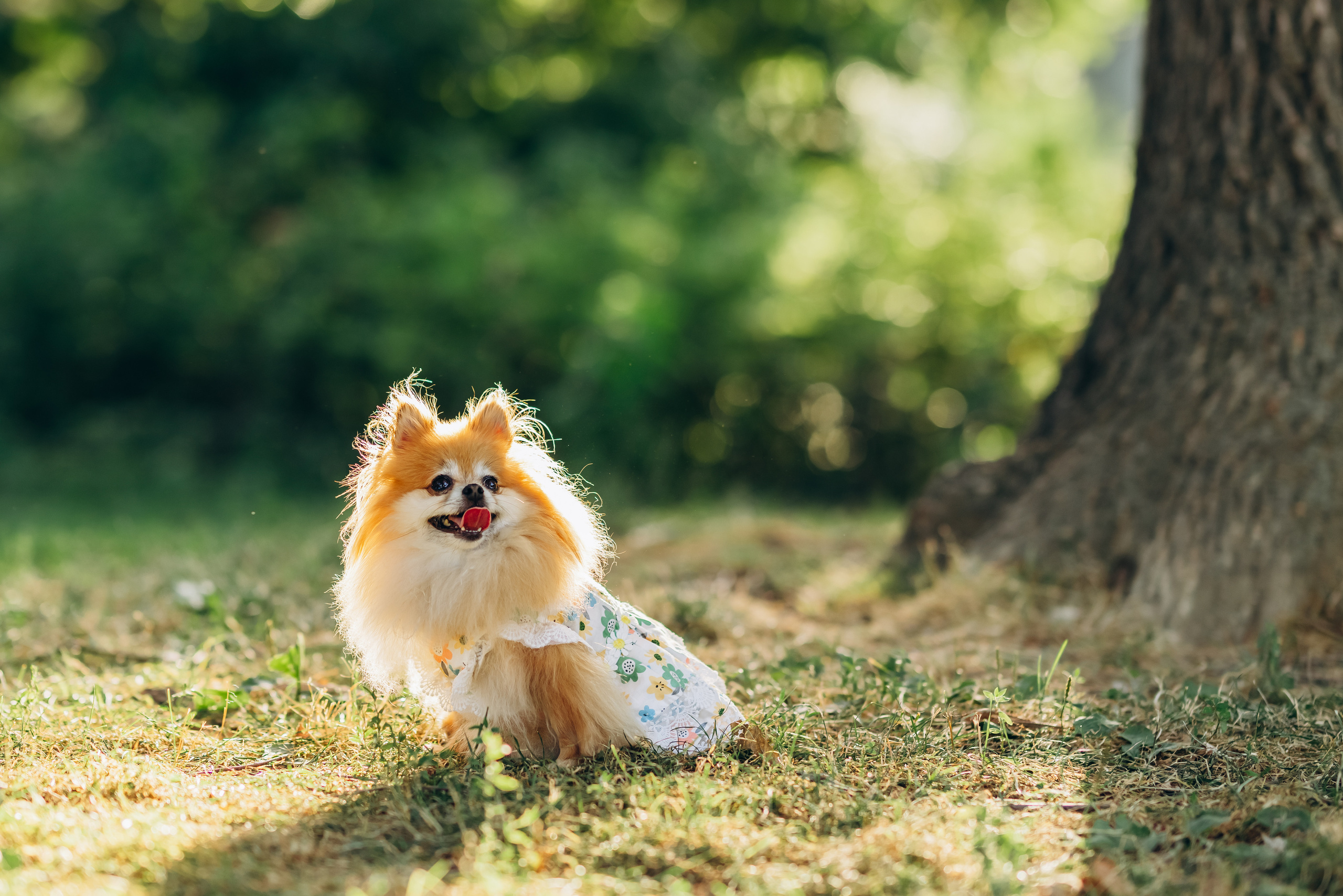JULIA & MOM. Pittsburgh wedding and family photographer