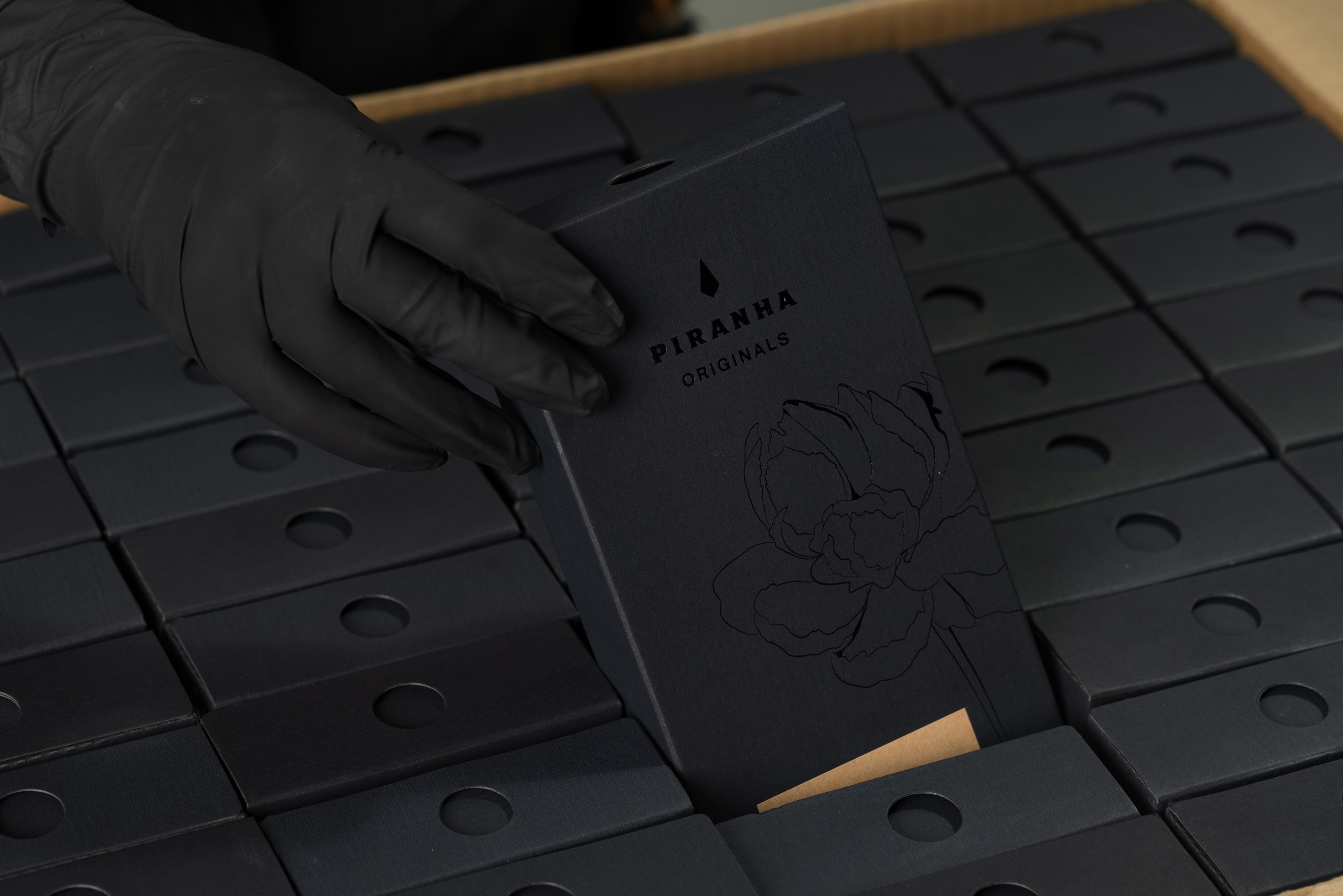 PIRANHA SUPPLIES. ESTUDIO DOZE