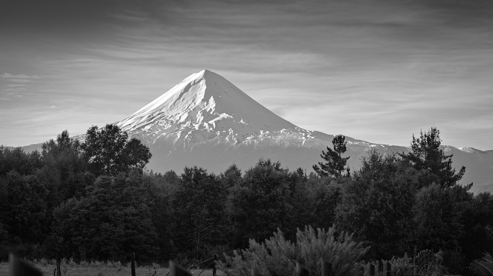 Campamento 8vo Aniversario. Fotógrafo de naturaleza en Chile Cristian Larrere Worner