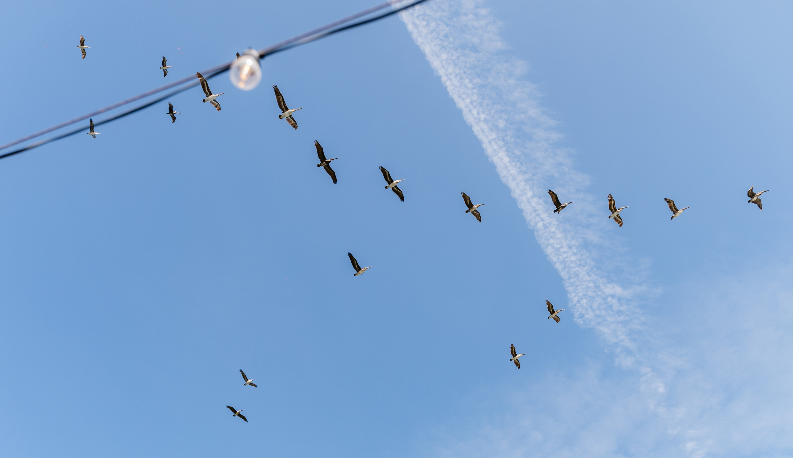 Jaime & Trynne Wedding. Pixel Pie — Wedding Photography & Videography